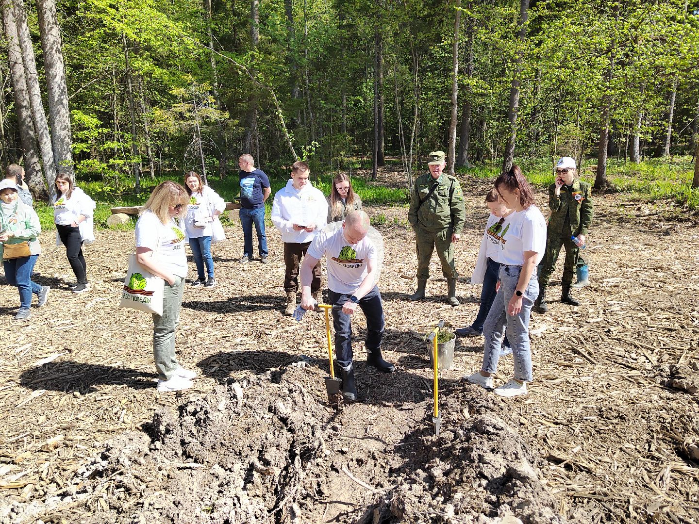 Пушкино, Ельдигино, Лес Победы,