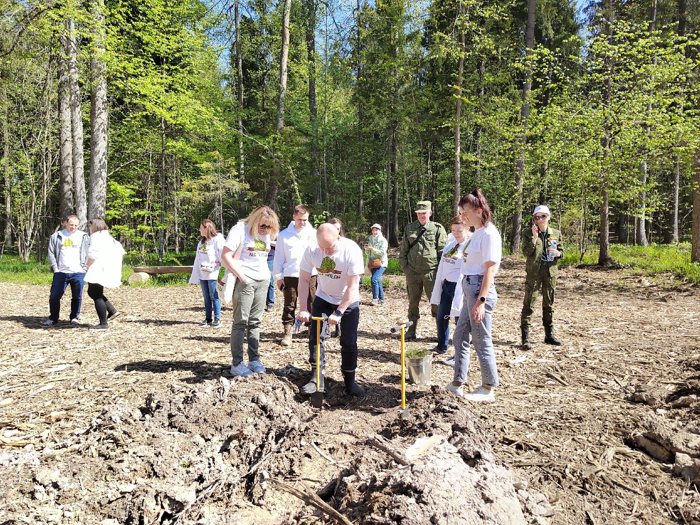 Пушкино, Ельдигино, Лес Победы,