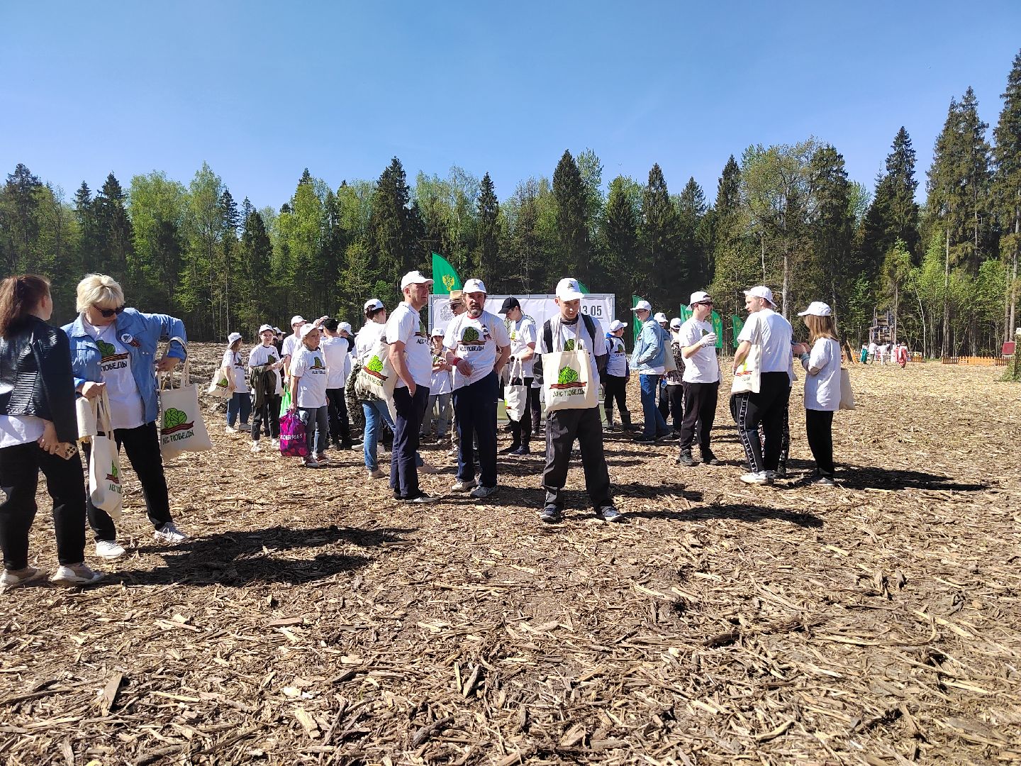 Пушкино, Ельдигино, Лес Победы,