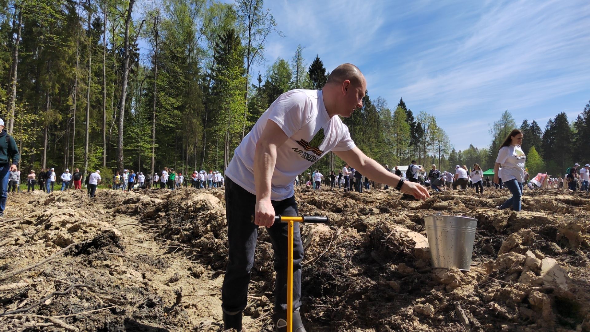Пушкино, Ельдигино, Лес Победы,
