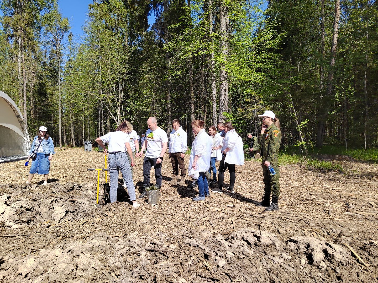 Пушкино, Ельдигино, Лес Победы,