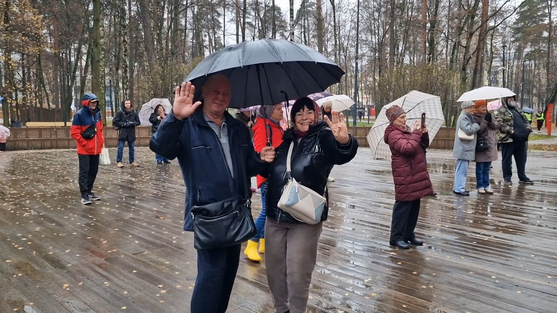 в парке пехорка отпраздновали день народного единства 2025, балашиха,