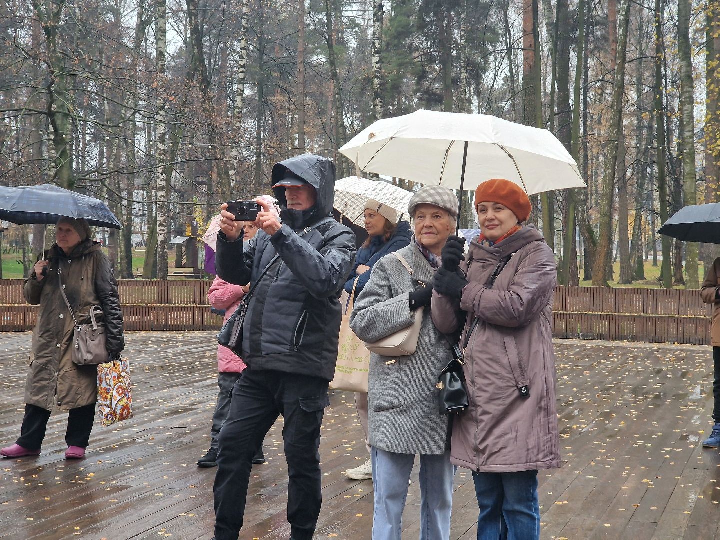 в парке пехорка отпраздновали день народного единства 2025, балашиха,