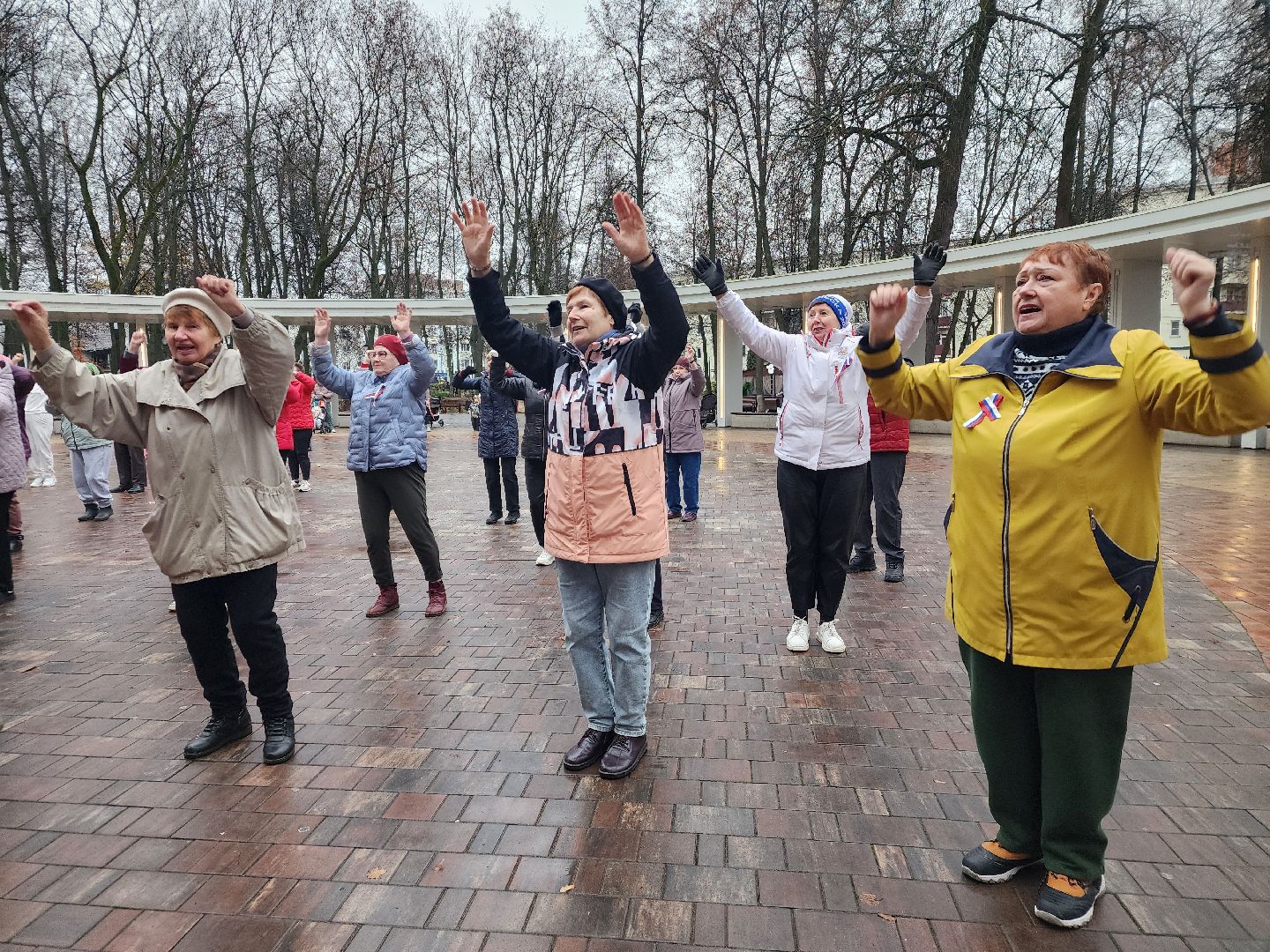 Подольск , День народного единства , праздник, парк талалихина,