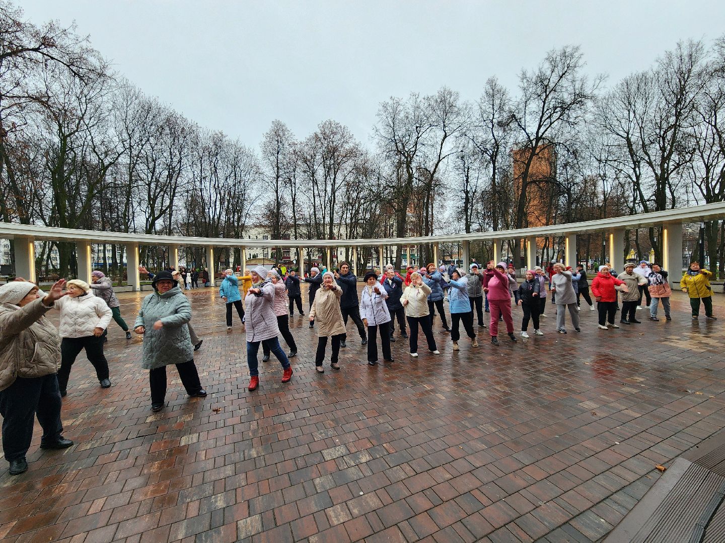 Подольск , День народного единства , праздник, парк талалихина,