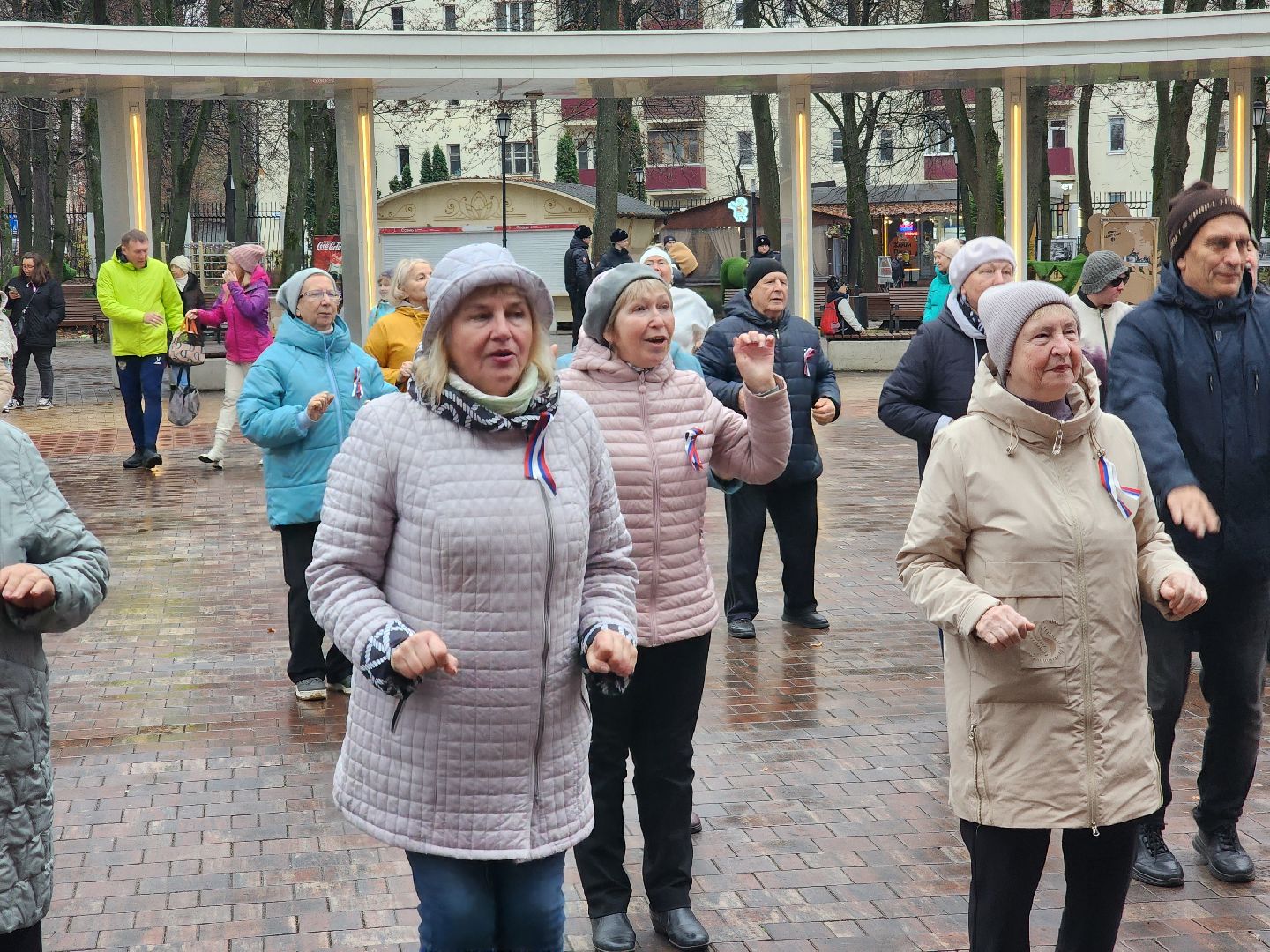 Подольск , День народного единства , праздник, парк талалихина,