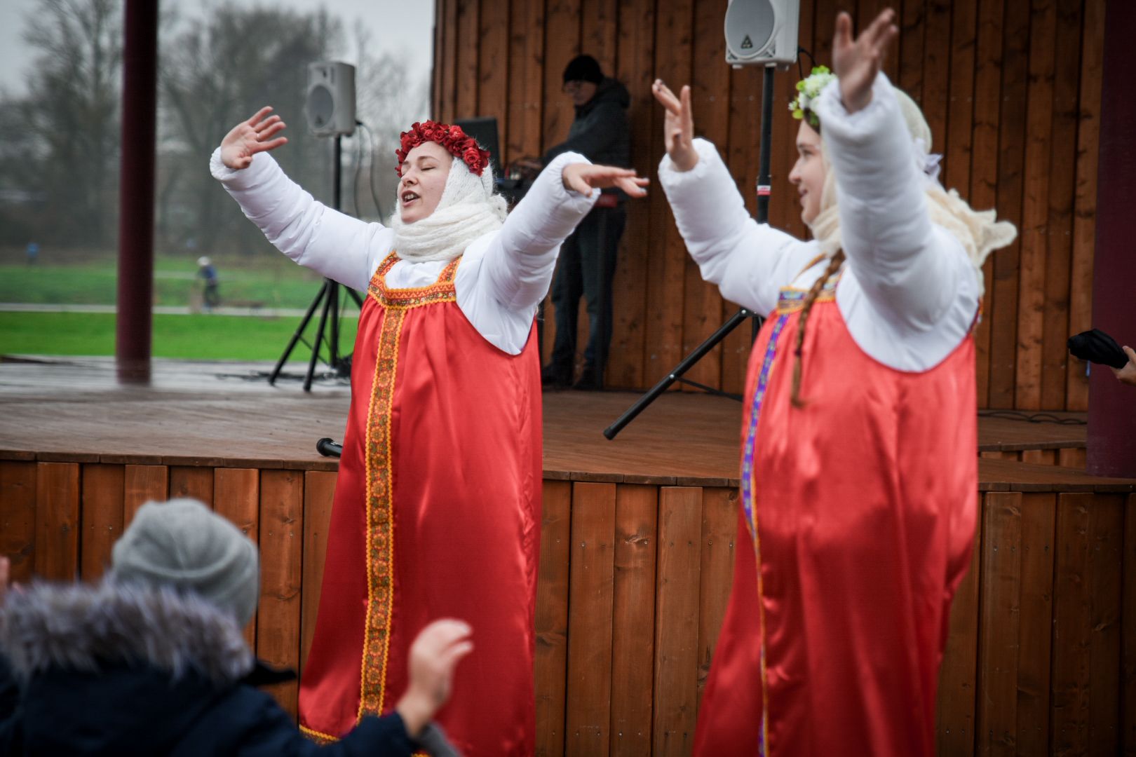 бронницы, день народного единства в бронницах, парк бронницкий луг, дети,