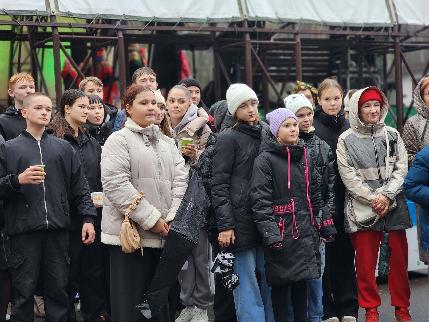 день народного  единства, праздник, парк, ногинск, богородский городский округ,