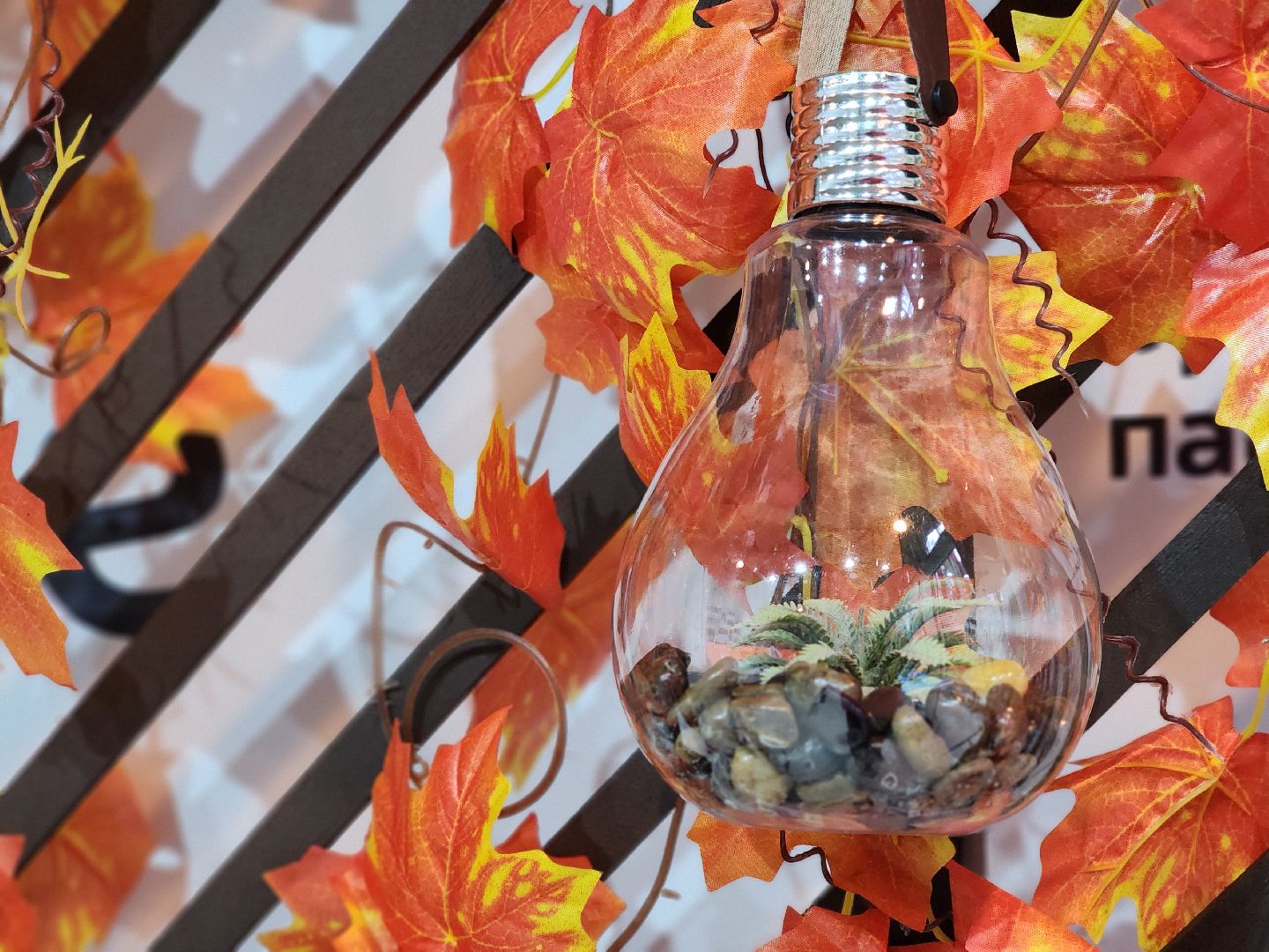 день народного  единства, праздник, парк, ногинск, богородский городский округ,