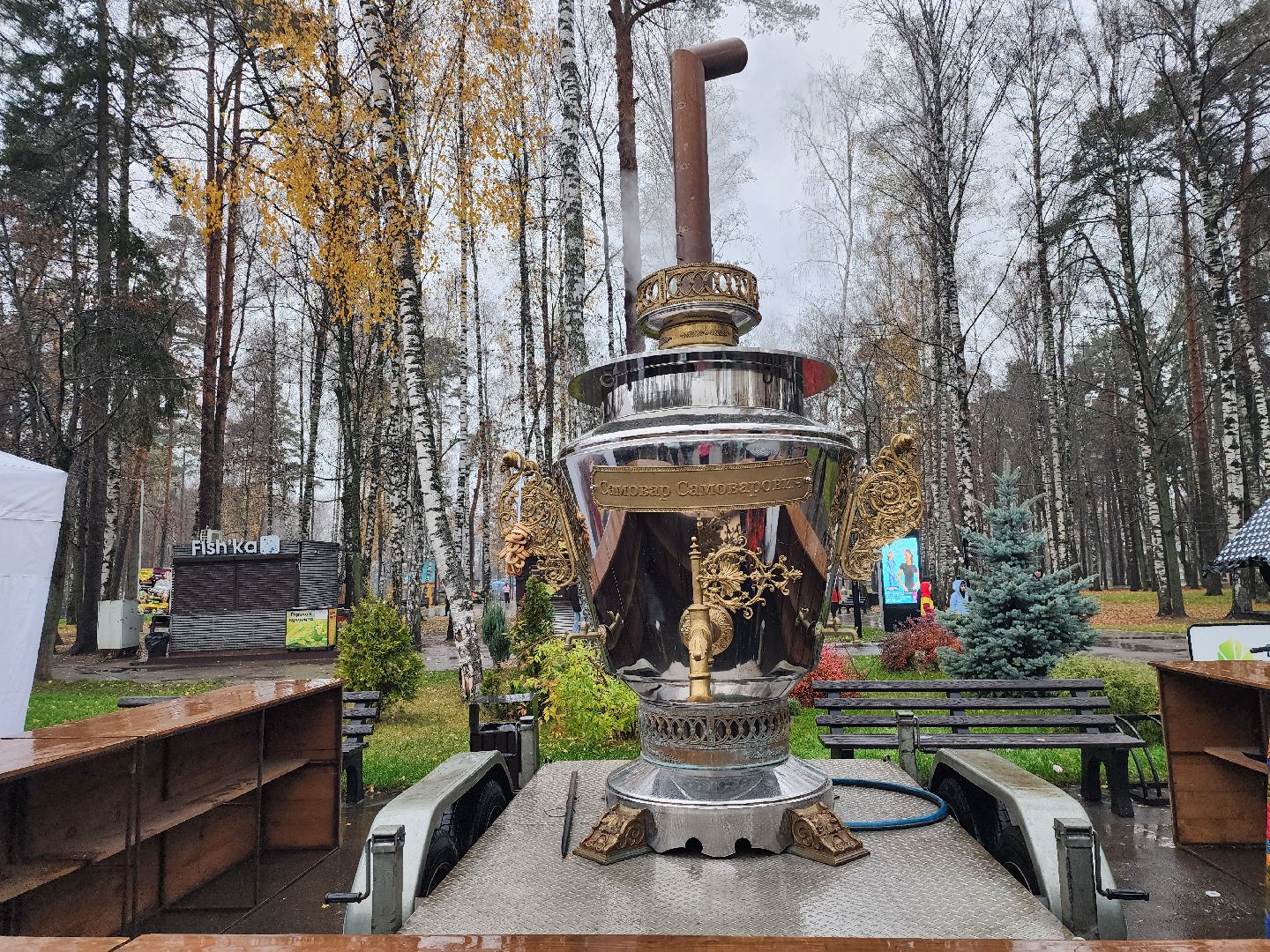 день народного  единства, праздник, парк, ногинск, богородский городский округ,