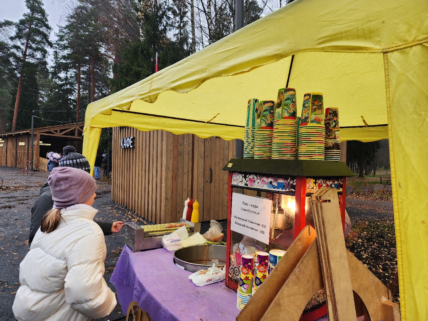 красноармейск, городской округ пушкинский, день народного единства , парки подмосковья, банный лес,