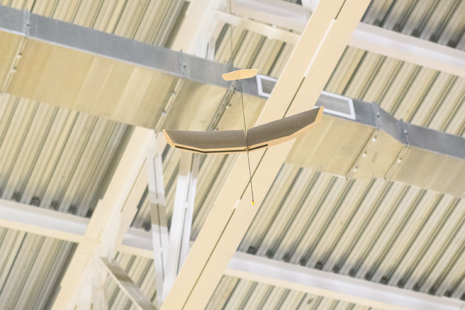 авиамоделирование, спорт, лыткарино,