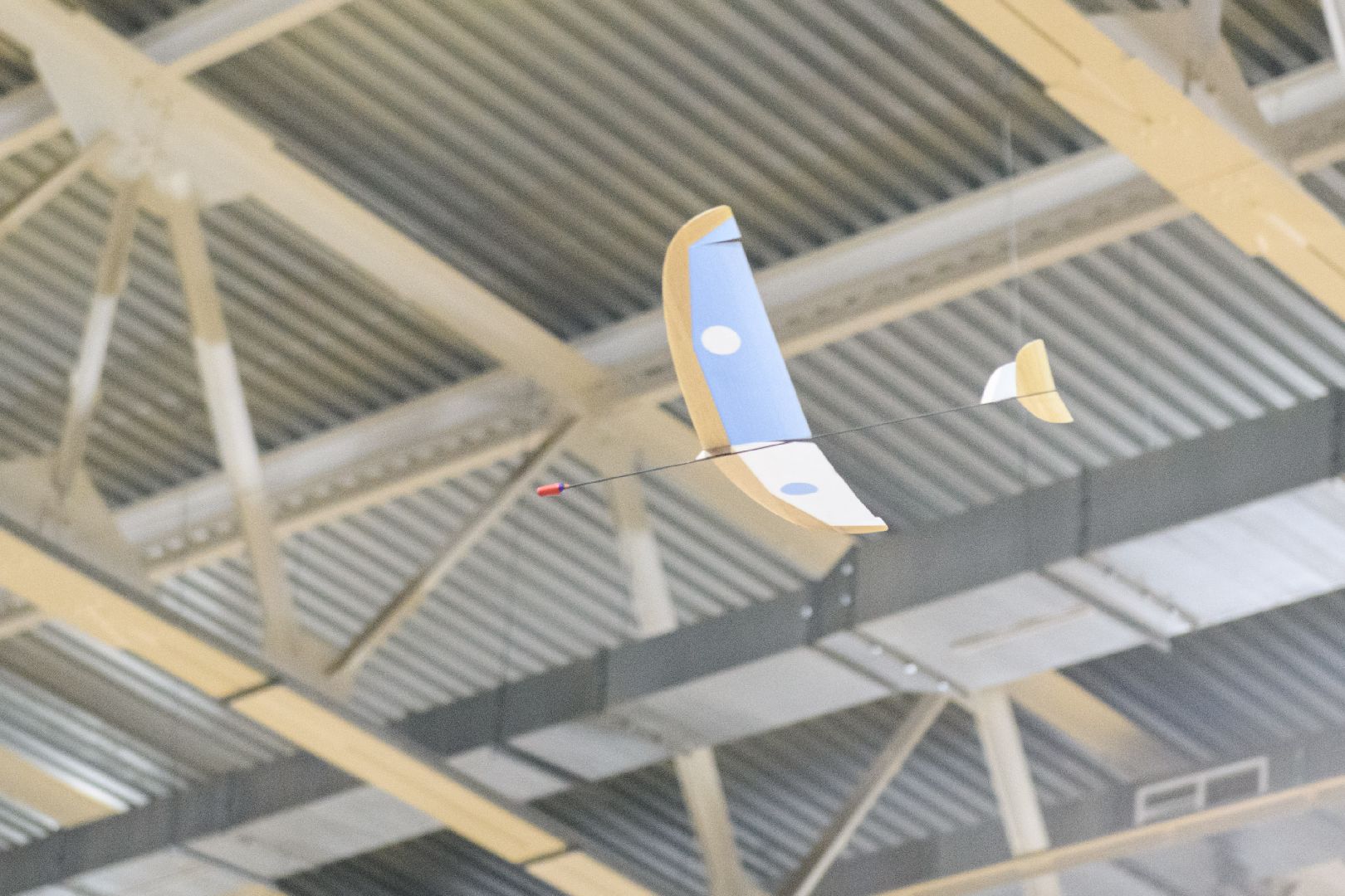 авиамоделирование, спорт, лыткарино,