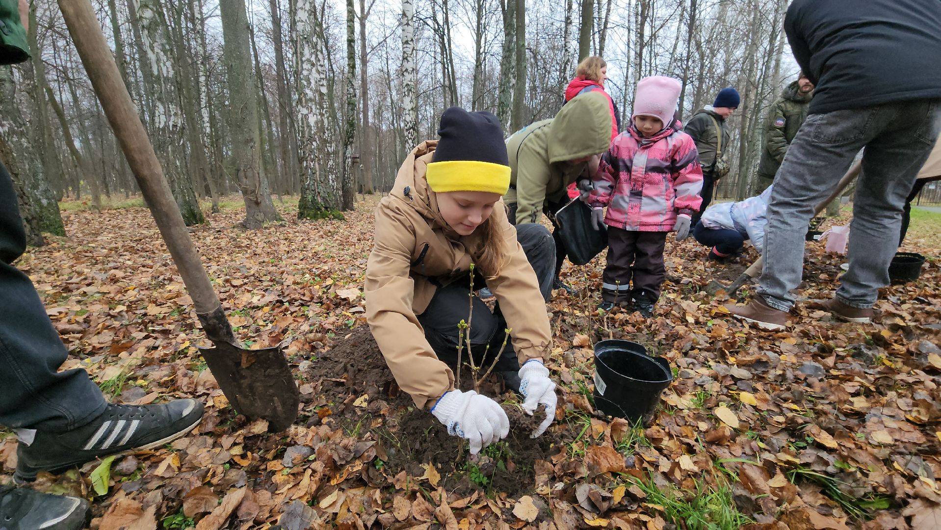 кашира, городской парк, высадка кустов, сирень, акция, волонтеры, молодая гвардия,