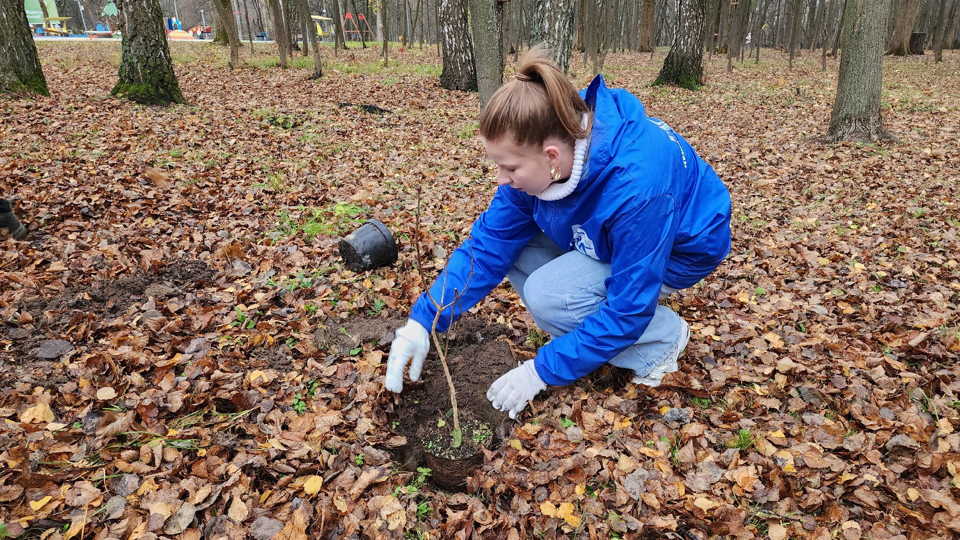 кашира, городской парк, высадка кустов, сирень, акция, волонтеры, молодая гвардия,