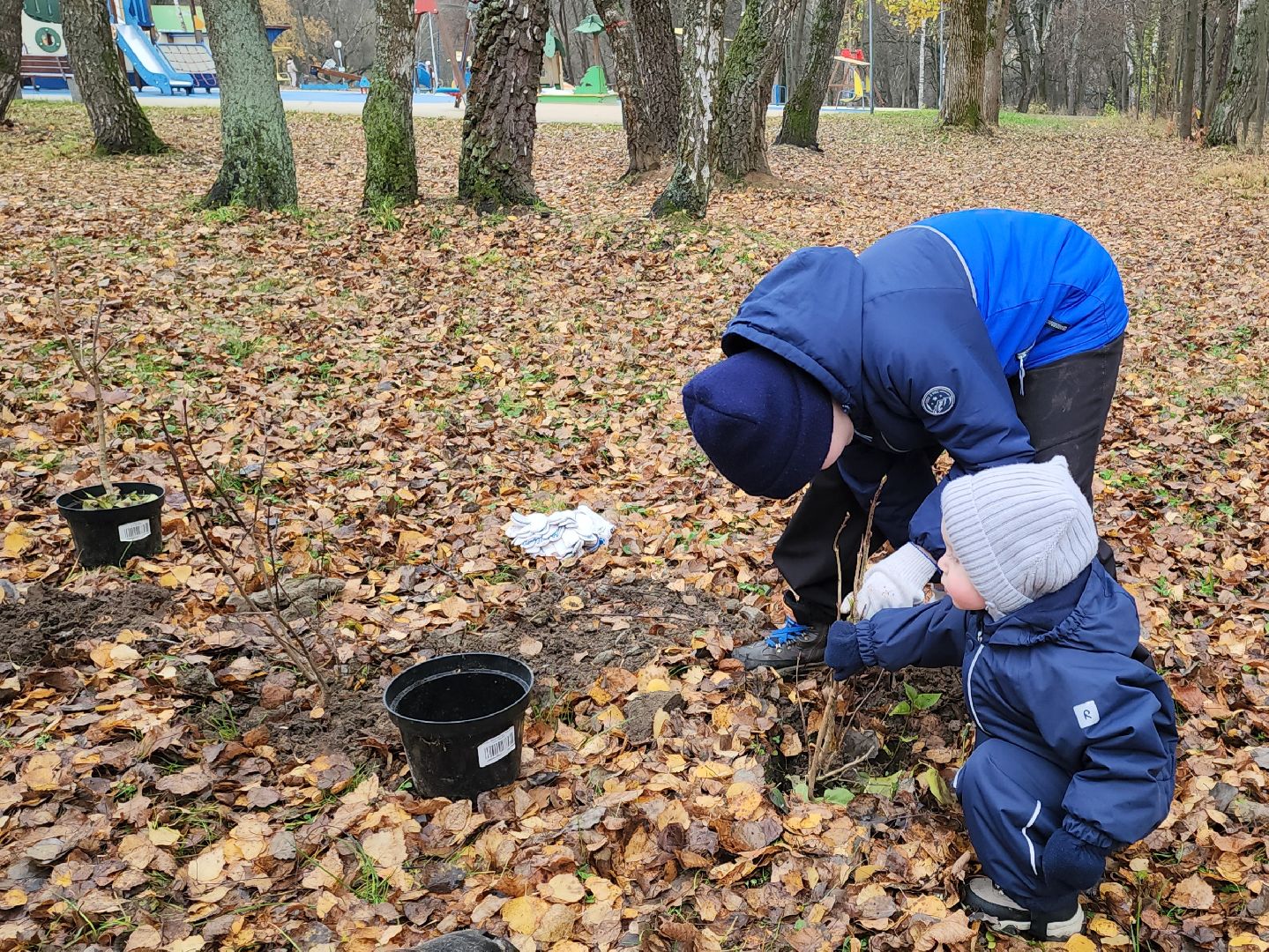кашира, городской парк, высадка кустов, сирень, акция, волонтеры, молодая гвардия,