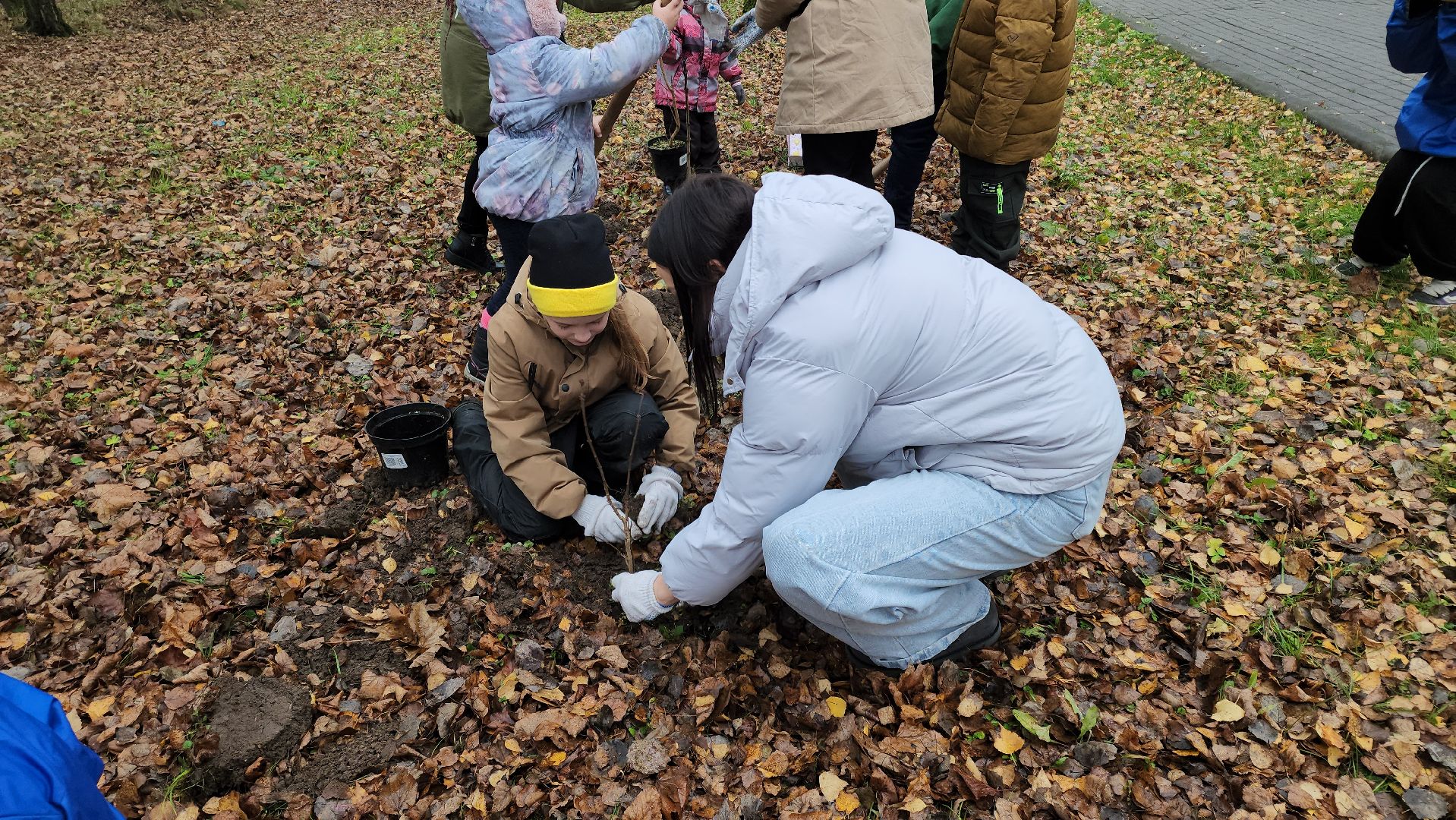 кашира, городской парк, высадка кустов, сирень, акция, волонтеры, молодая гвардия,