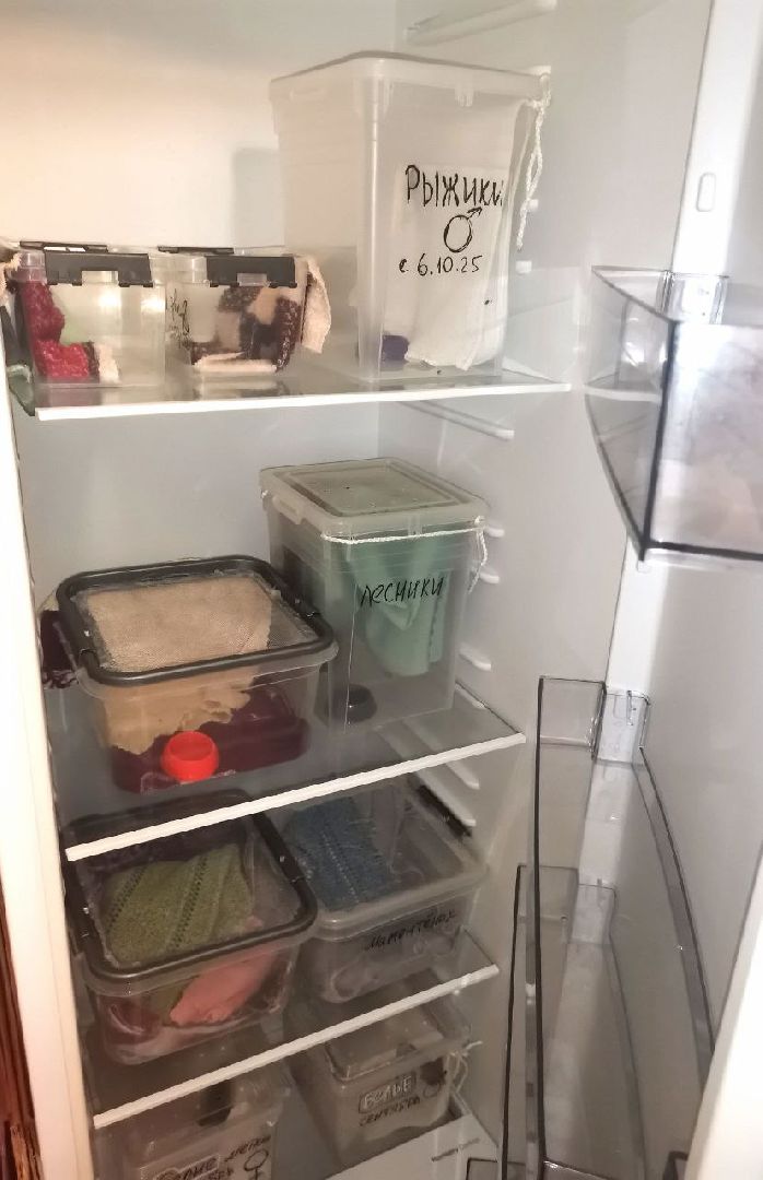 пущино, серпухов, волонтеры, природа, наука,