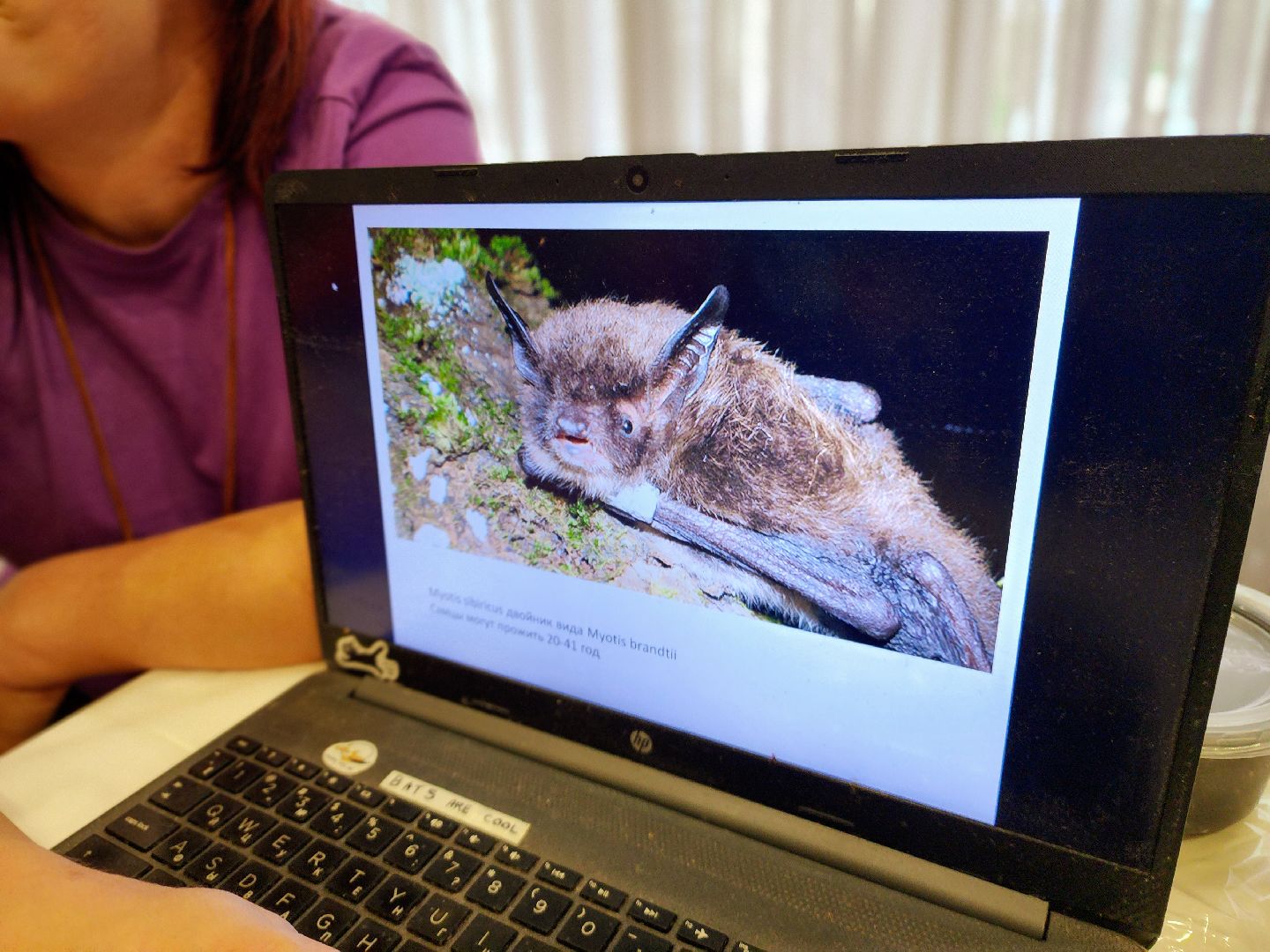 пущино, серпухов, волонтеры, природа, наука,