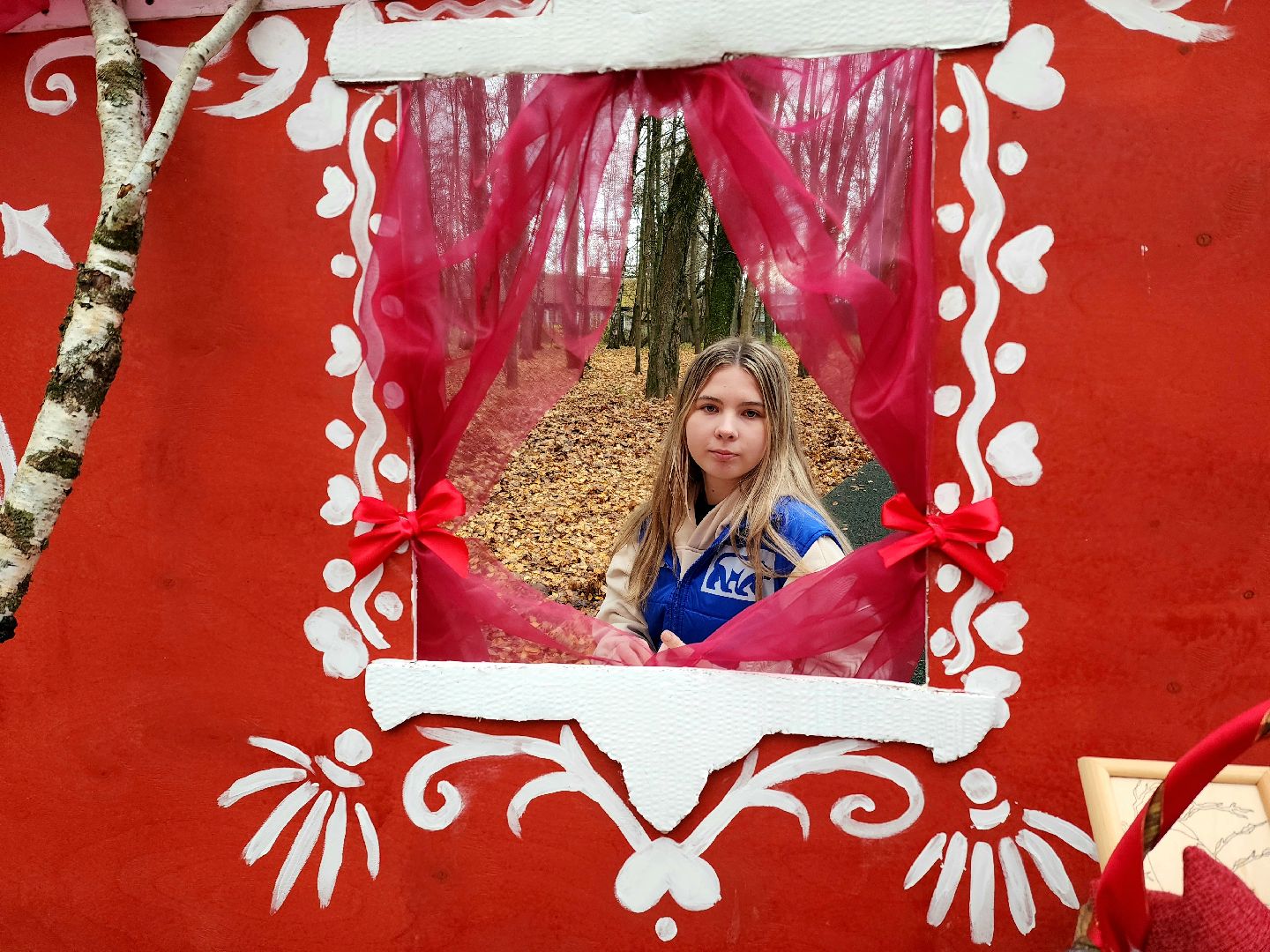 солнечногорск, жители , праздник , единство,