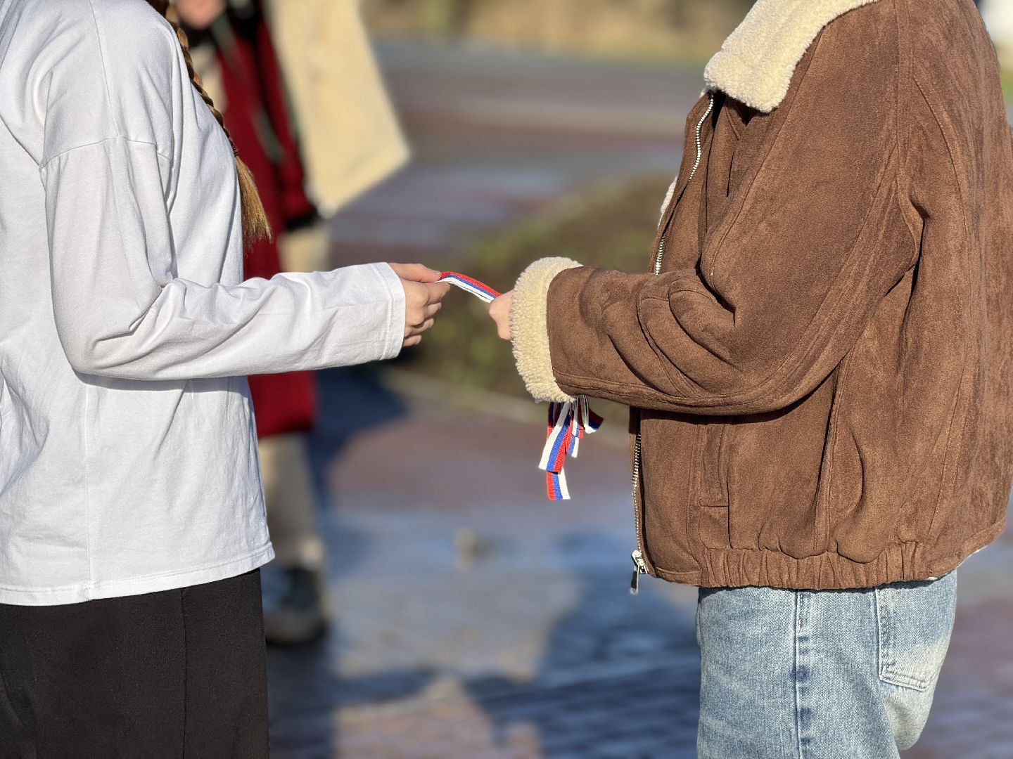 шаховская, волонтеры, день народно единства,