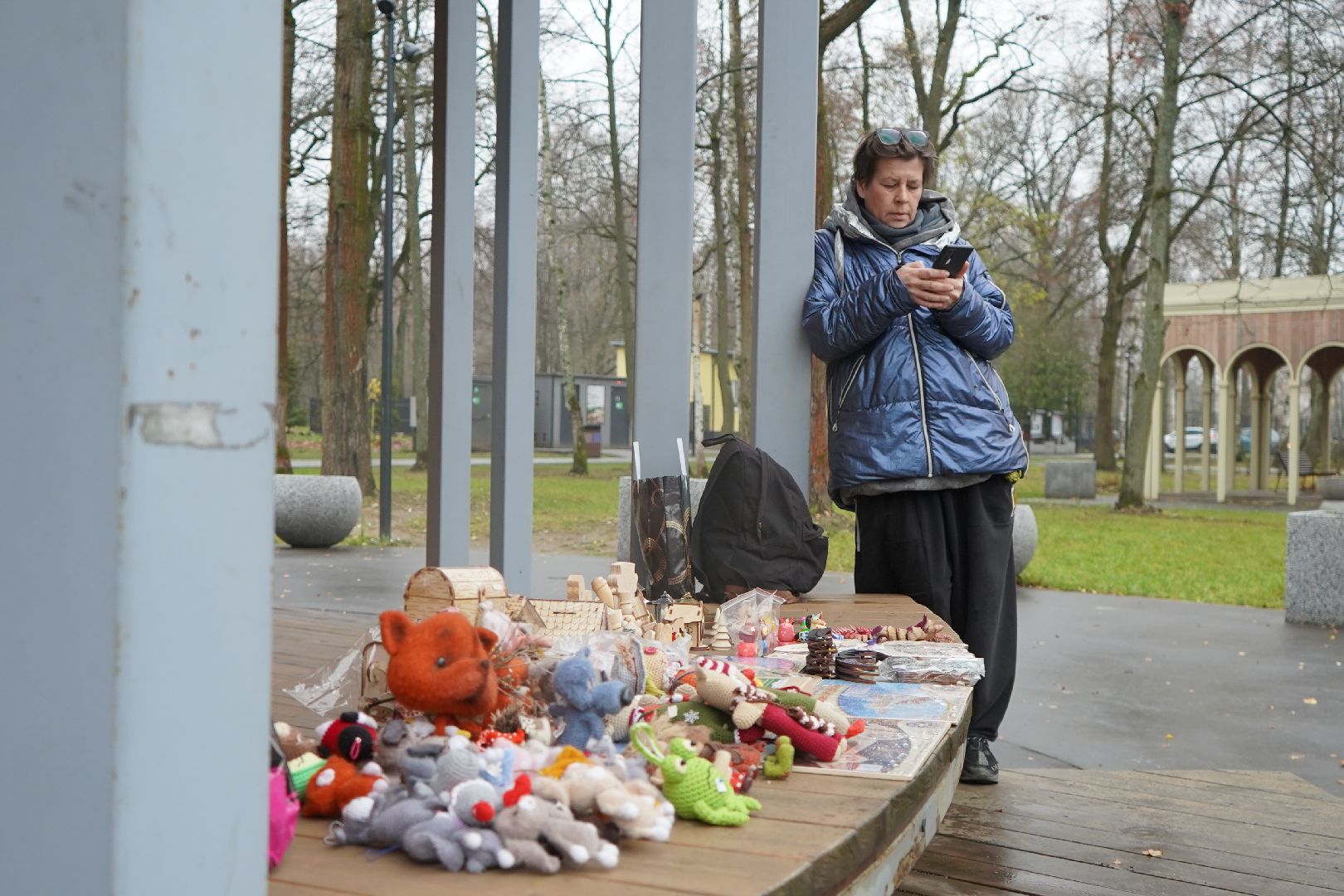 ступино, парк, День народного единства,