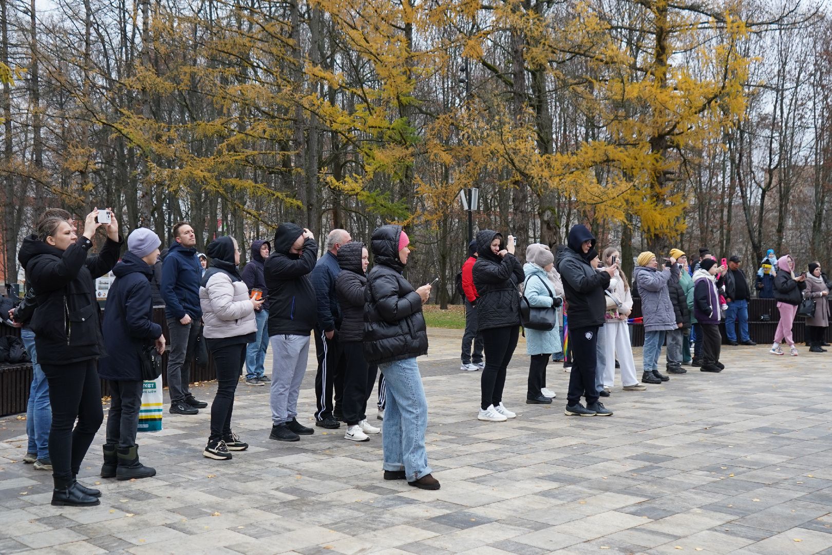 ступино, парк, День народного единства,
