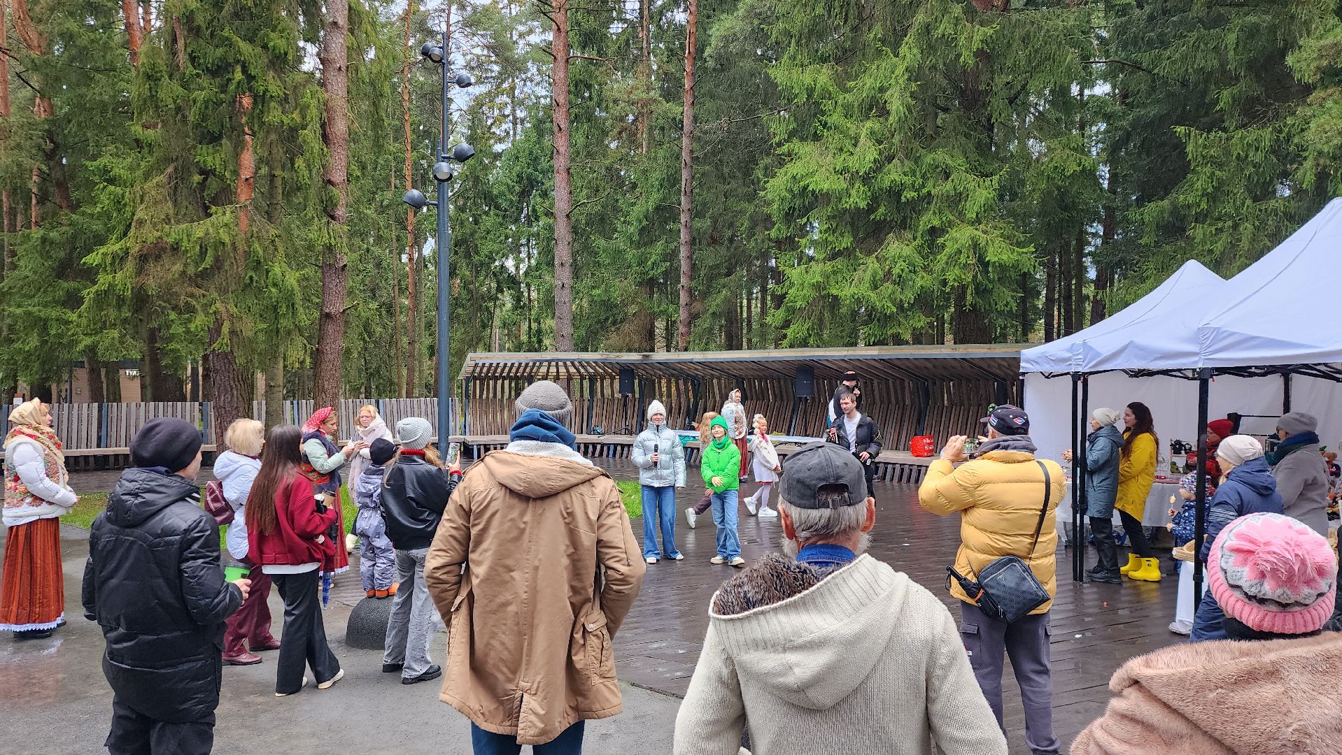 истра, день народного  единства, культура,