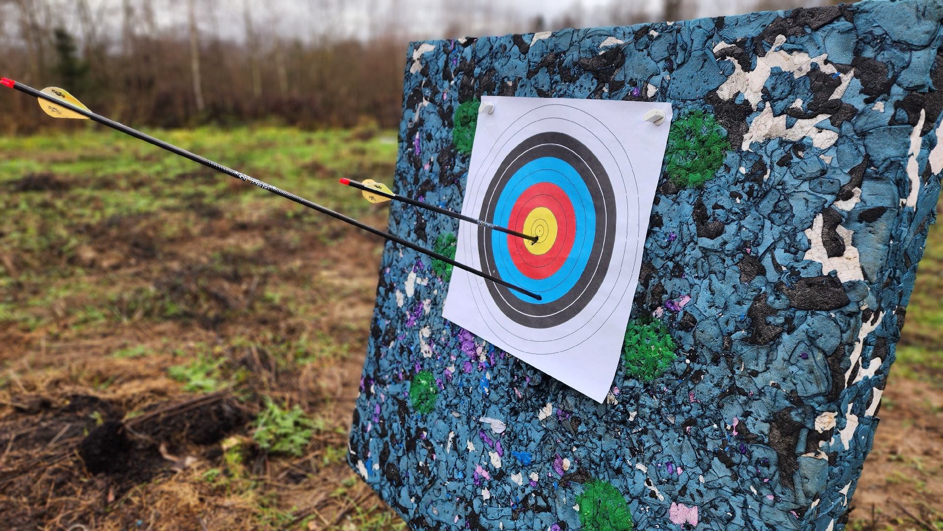 клин, золино, семья года, стрельба из лука,