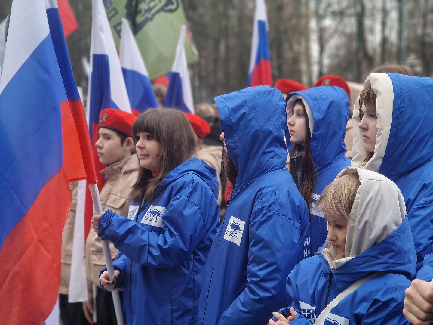 воскресенск, день народного  единства, кривякино,