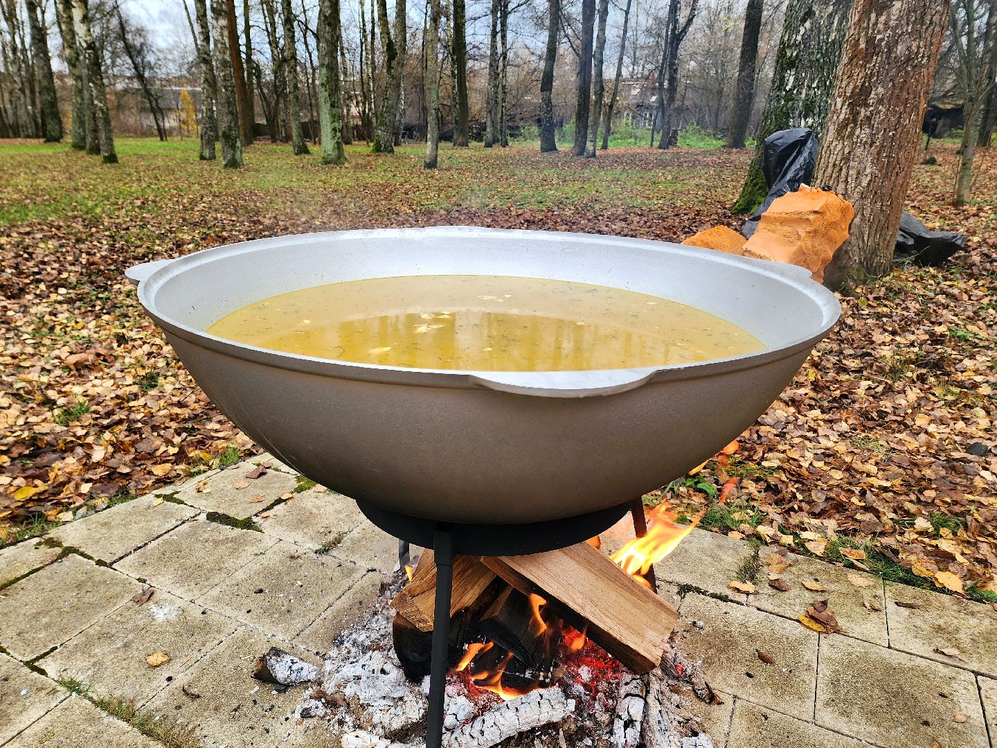 солнечногорск, праздник , жители , единство,