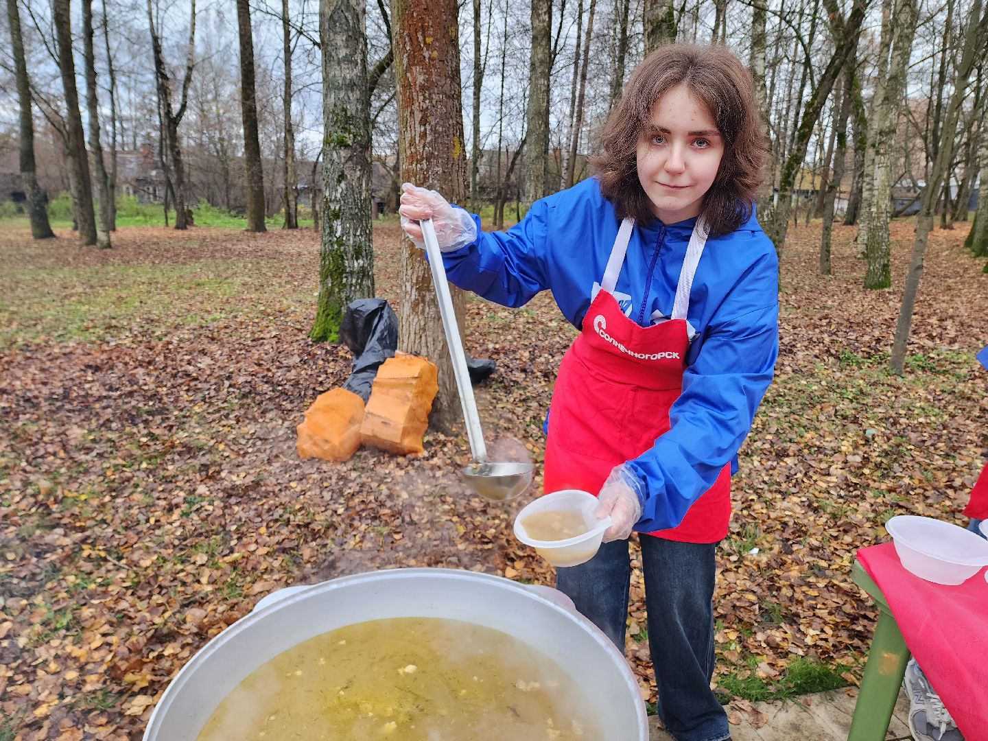 солнечногорск, праздник , жители , единство,