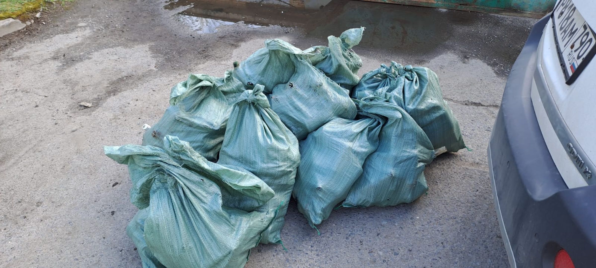 субботник, город Домодедово