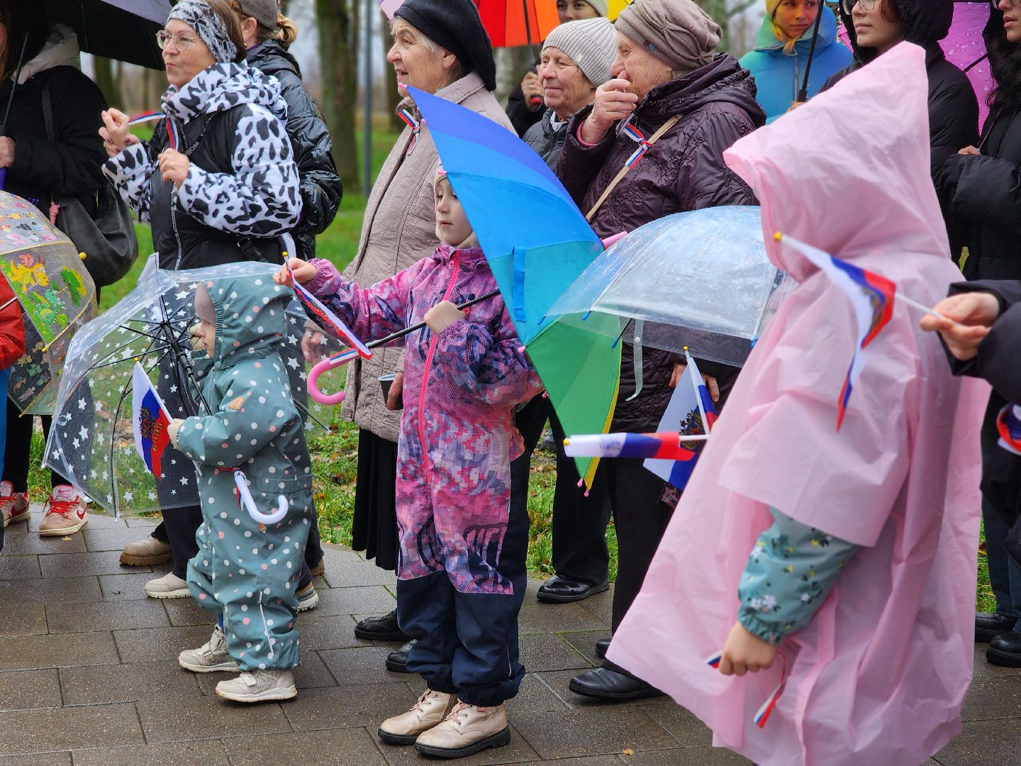 сергиев посад, сергиево-посадский городской округ, краснозаводск, парк победы, день народного  единства, 4 ноября праздник,россия, родина, единство народов, парки подмосковья, волонтеры подмосковья,