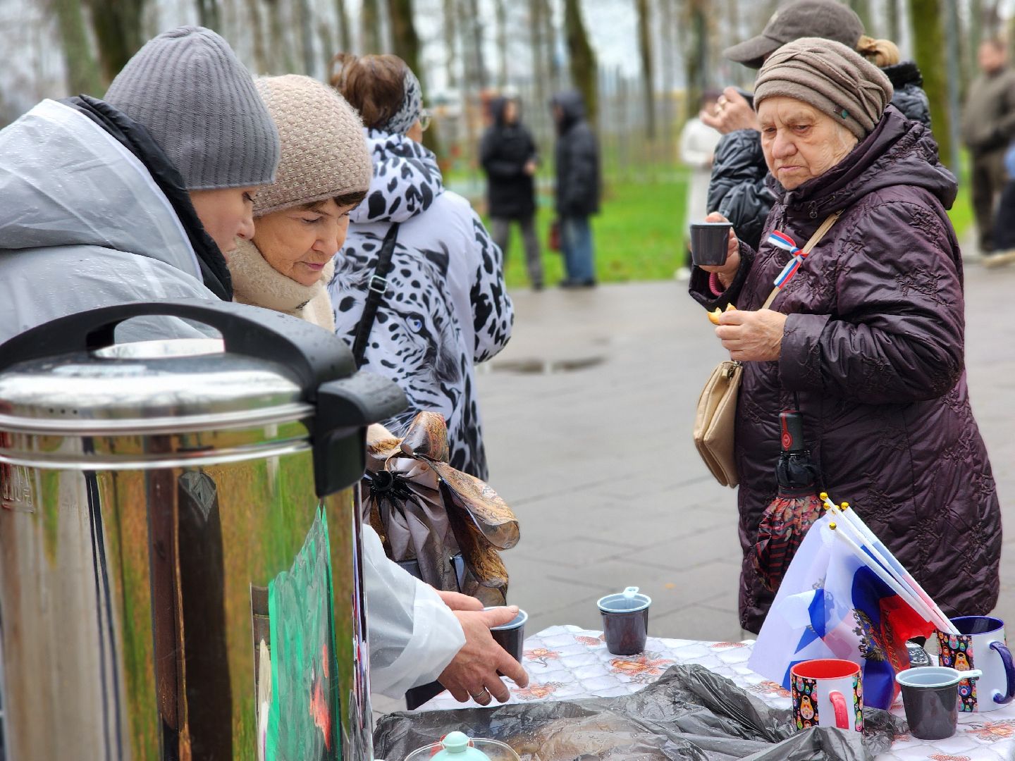 сергиев посад, сергиево-посадский городской округ, краснозаводск, парк победы, день народного  единства, 4 ноября праздник,россия, родина, единство народов, парки подмосковья, волонтеры подмосковья,