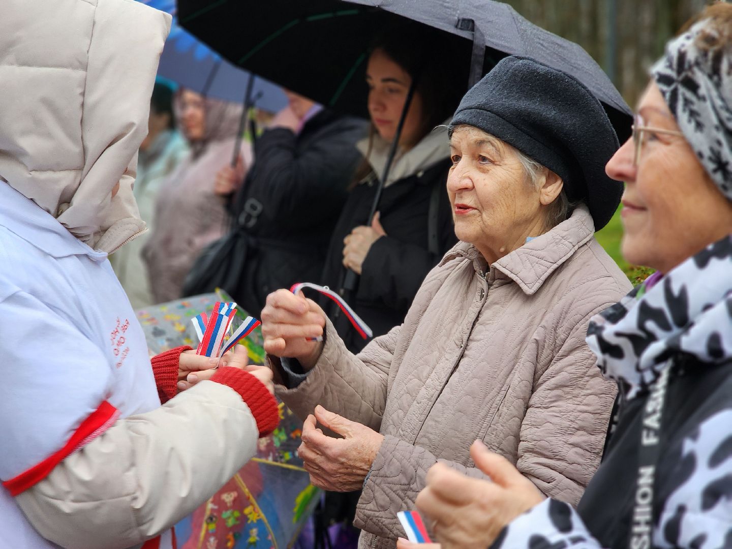 сергиев посад, сергиево-посадский городской округ, краснозаводск, парк победы, день народного  единства, 4 ноября праздник,россия, родина, единство народов, парки подмосковья, волонтеры подмосковья,