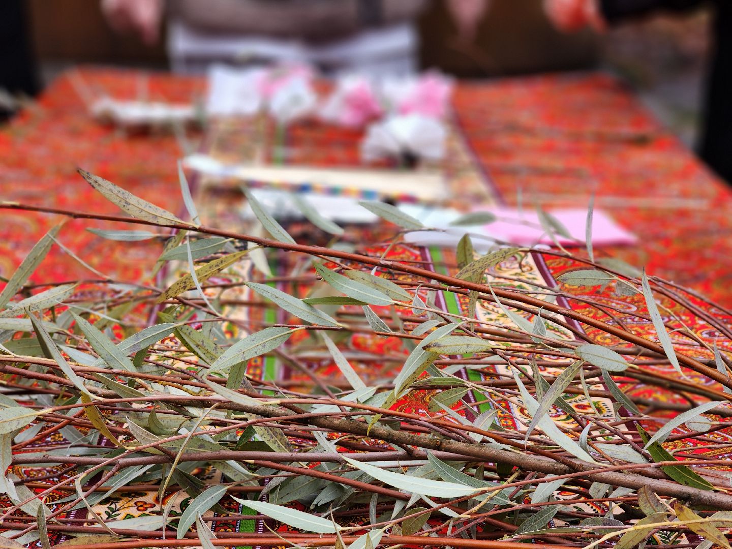 сергиев посад, сергиево-посадский городской округ, краснозаводск, парк победы, день народного  единства, 4 ноября праздник,россия, родина, единство народов, парки подмосковья, волонтеры подмосковья,