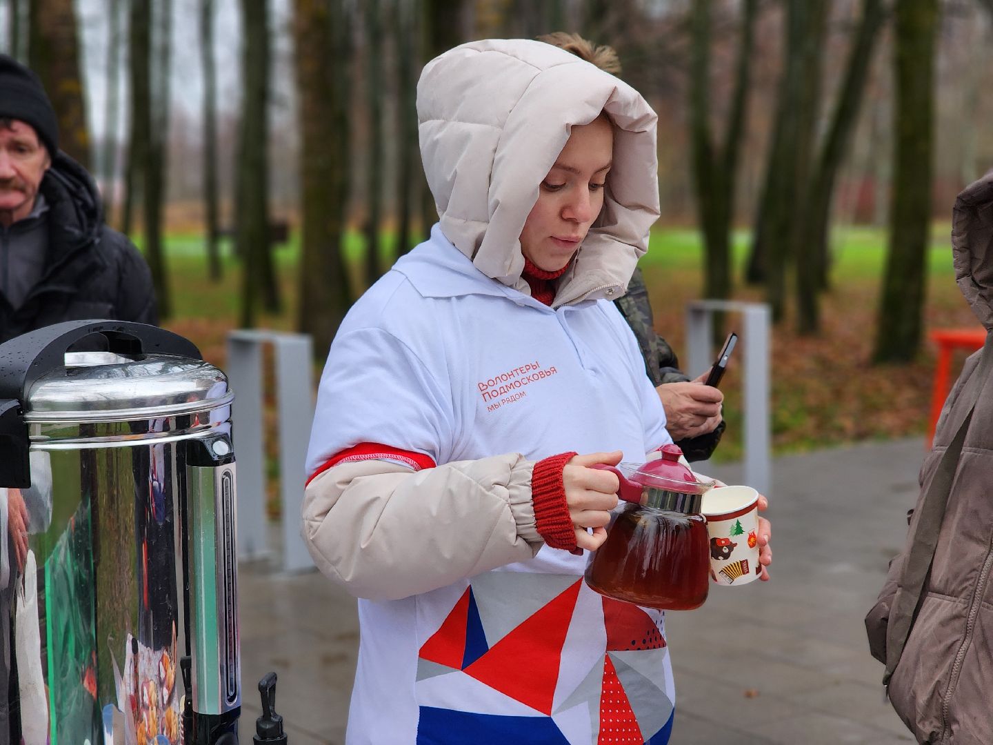 сергиев посад, сергиево-посадский городской округ, краснозаводск, парк победы, день народного  единства, 4 ноября праздник,россия, родина, единство народов, парки подмосковья, волонтеры подмосковья,