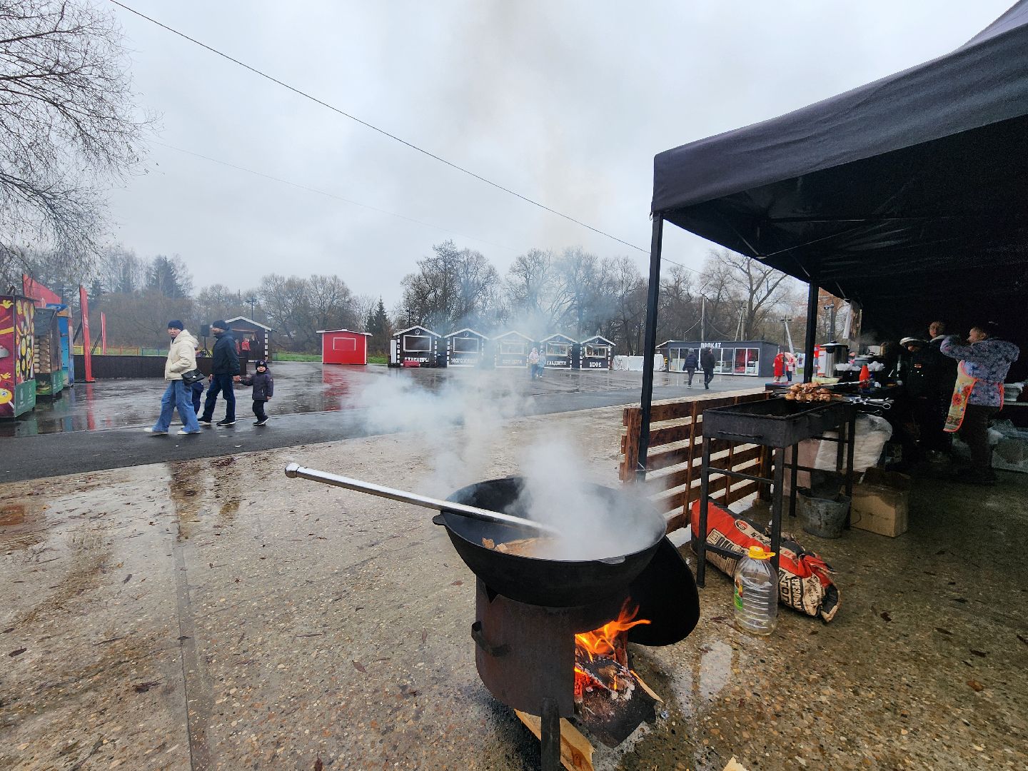 чехов, парк культуры и отдыха, день народного  единства, праздник, торжество, патриотические акции, флаг россии, флаги регионов россии, акция дружба народов, мастер-классы, конкурсы, исторический тест, волонтеры подмосковья, игровая программа, концерт,
