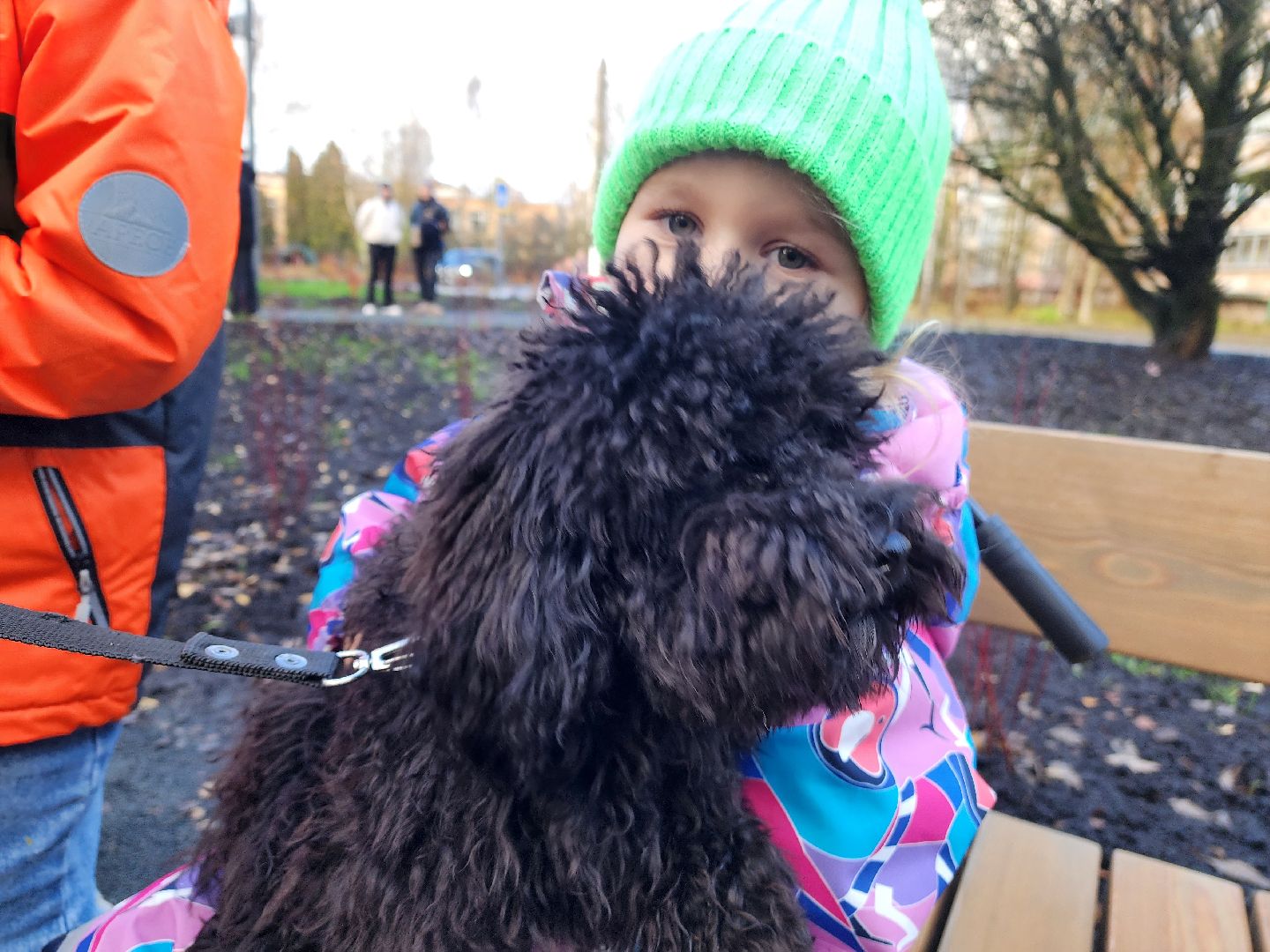 красноармейск,  городской округ пушкинский, корги-встречи , банный лес, день народного единства ,