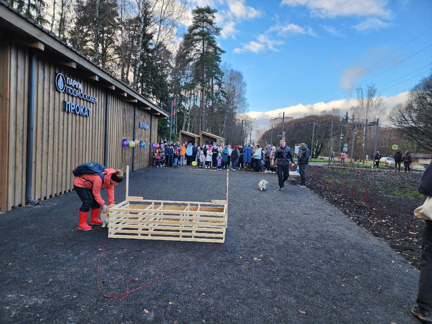 красноармейск,  городской округ пушкинский, корги-встречи , банный лес, день народного единства ,