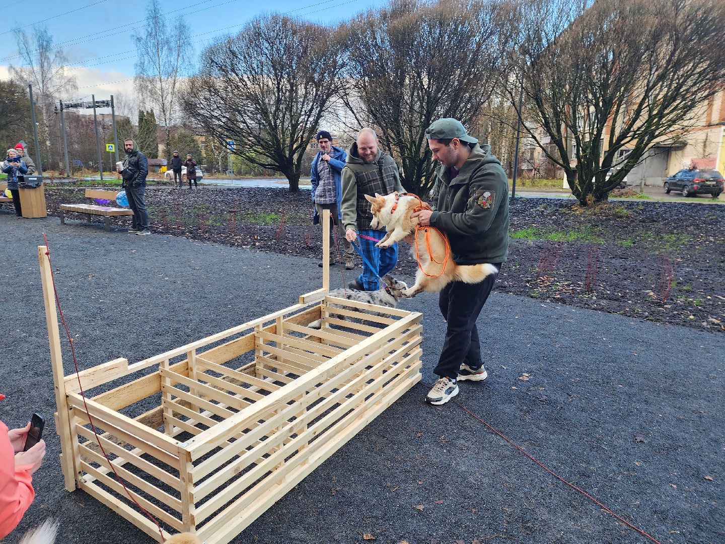 красноармейск,  городской округ пушкинский, корги-встречи , банный лес, день народного единства ,