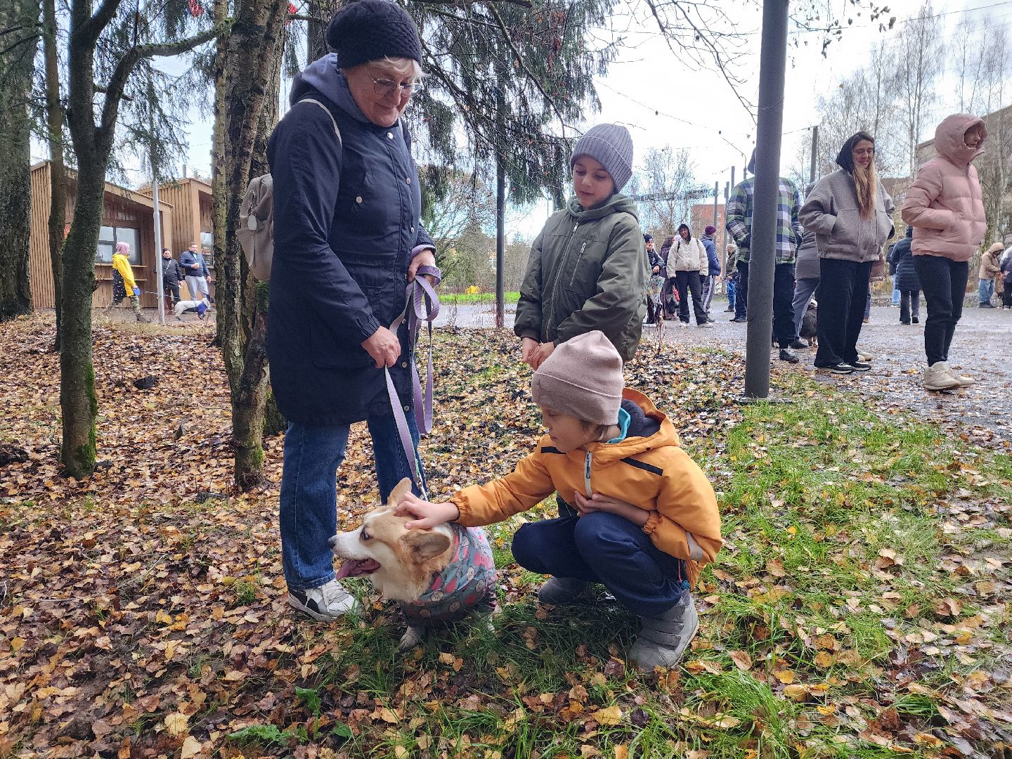красноармейск,  городской округ пушкинский, корги-встречи , банный лес, день народного единства ,