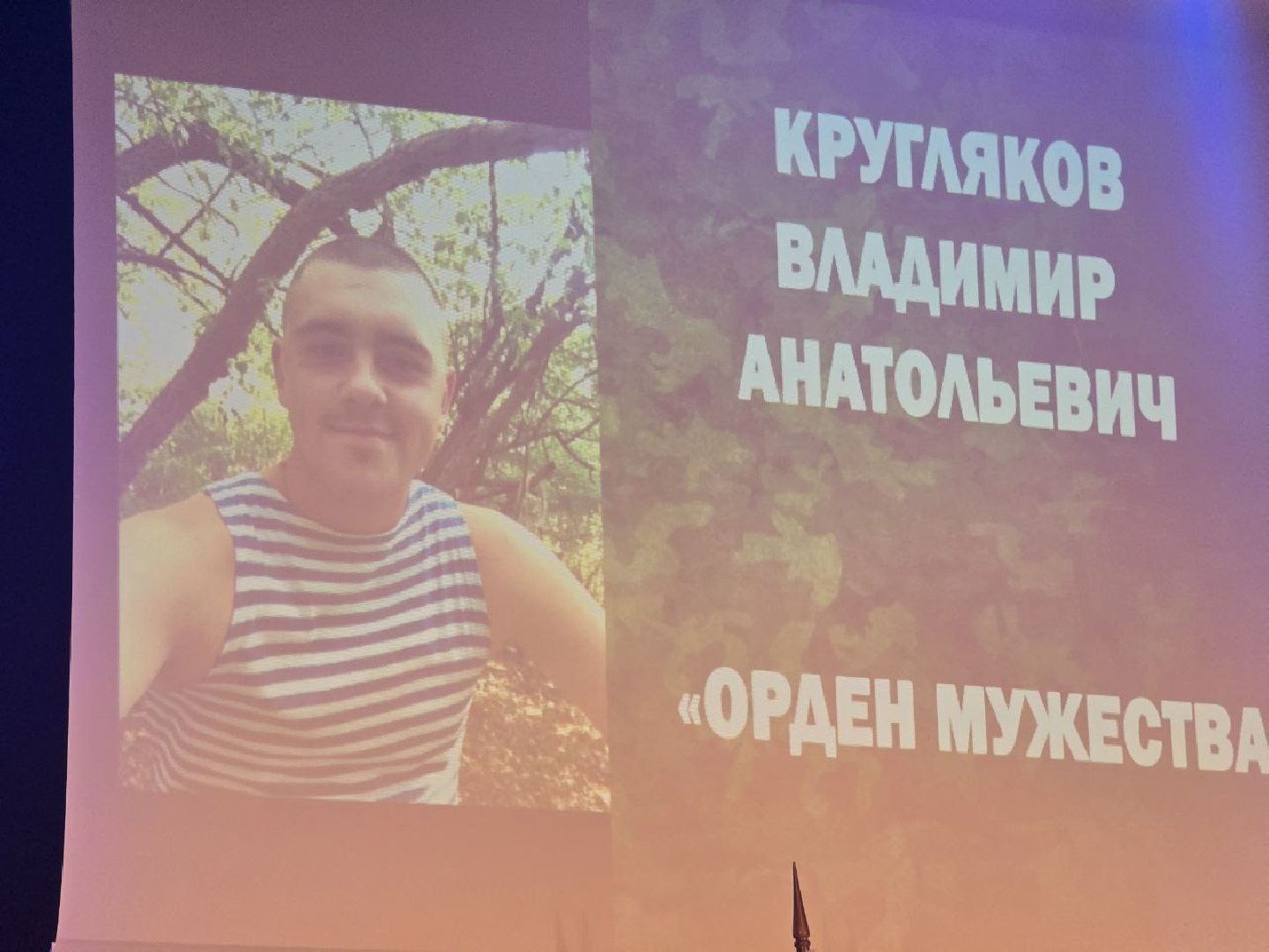 можайск, можайский муниципальный округ, подмосковье, день народного единства, государственные награды, участники сво, чествование героев,