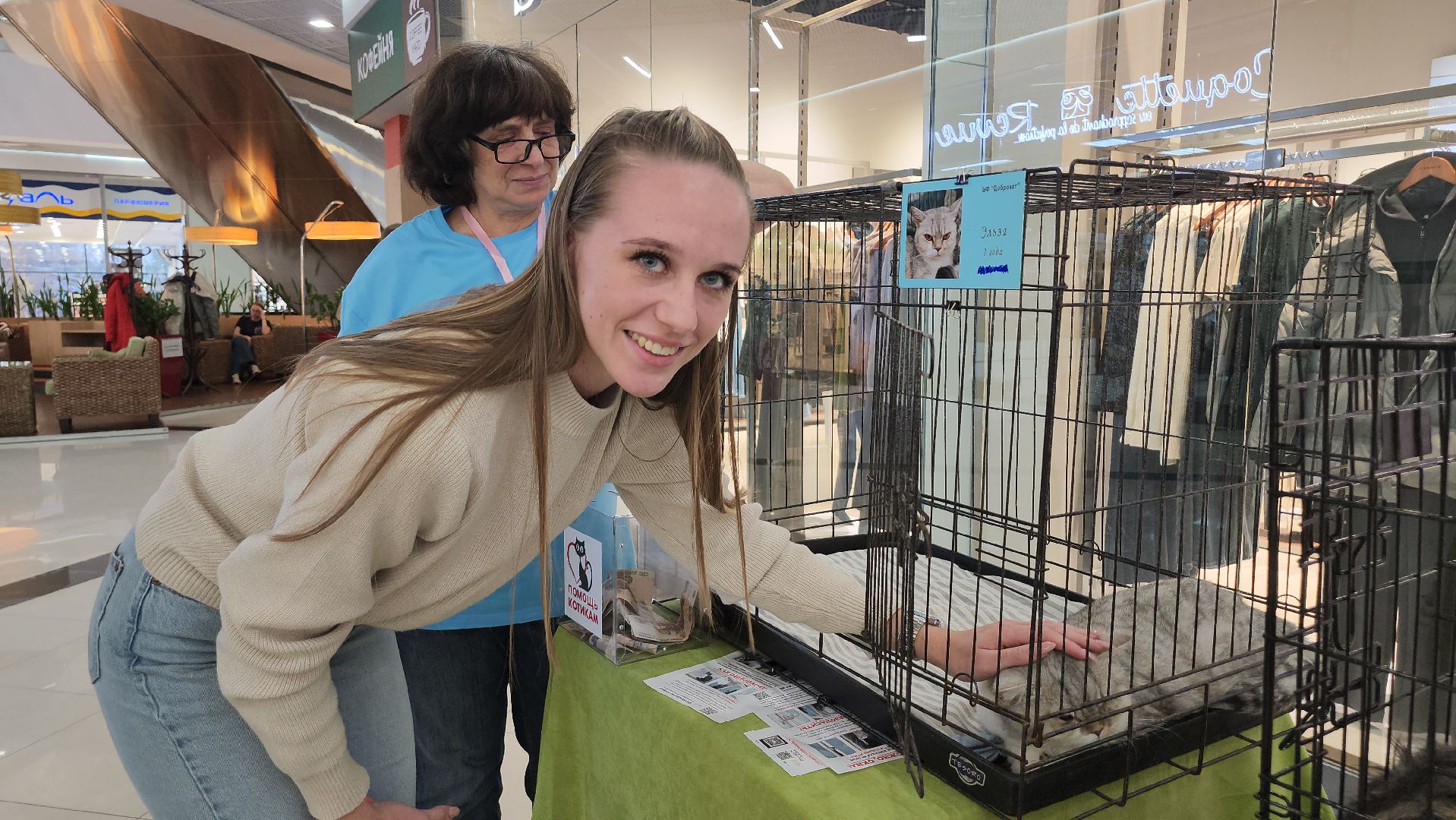 Люберцы, благотворительная выставка, доброкот, домашние животные,