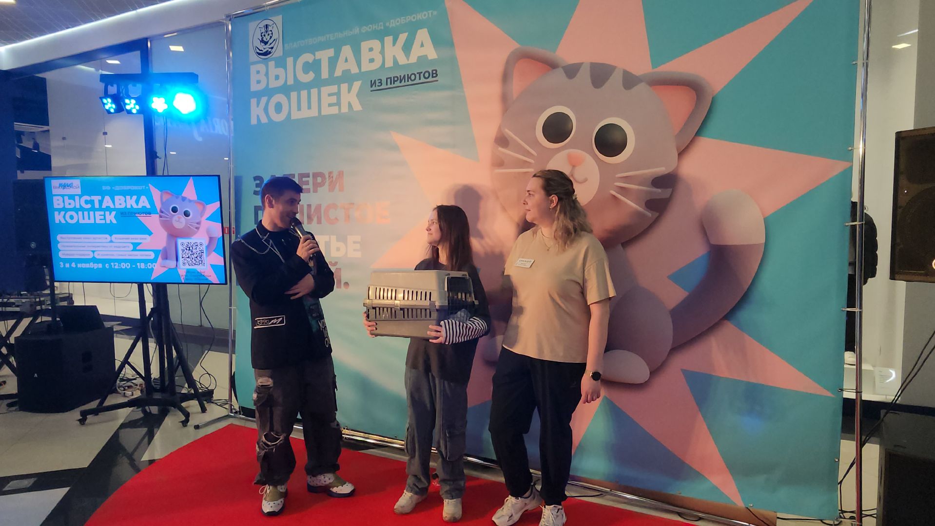 Люберцы, благотворительная выставка, доброкот, домашние животные,