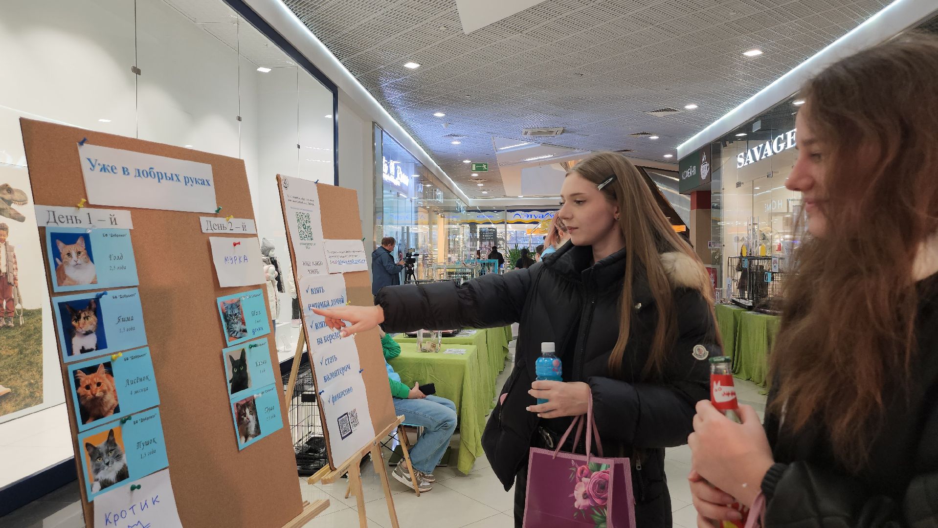 Люберцы, благотворительная выставка, доброкот, домашние животные,