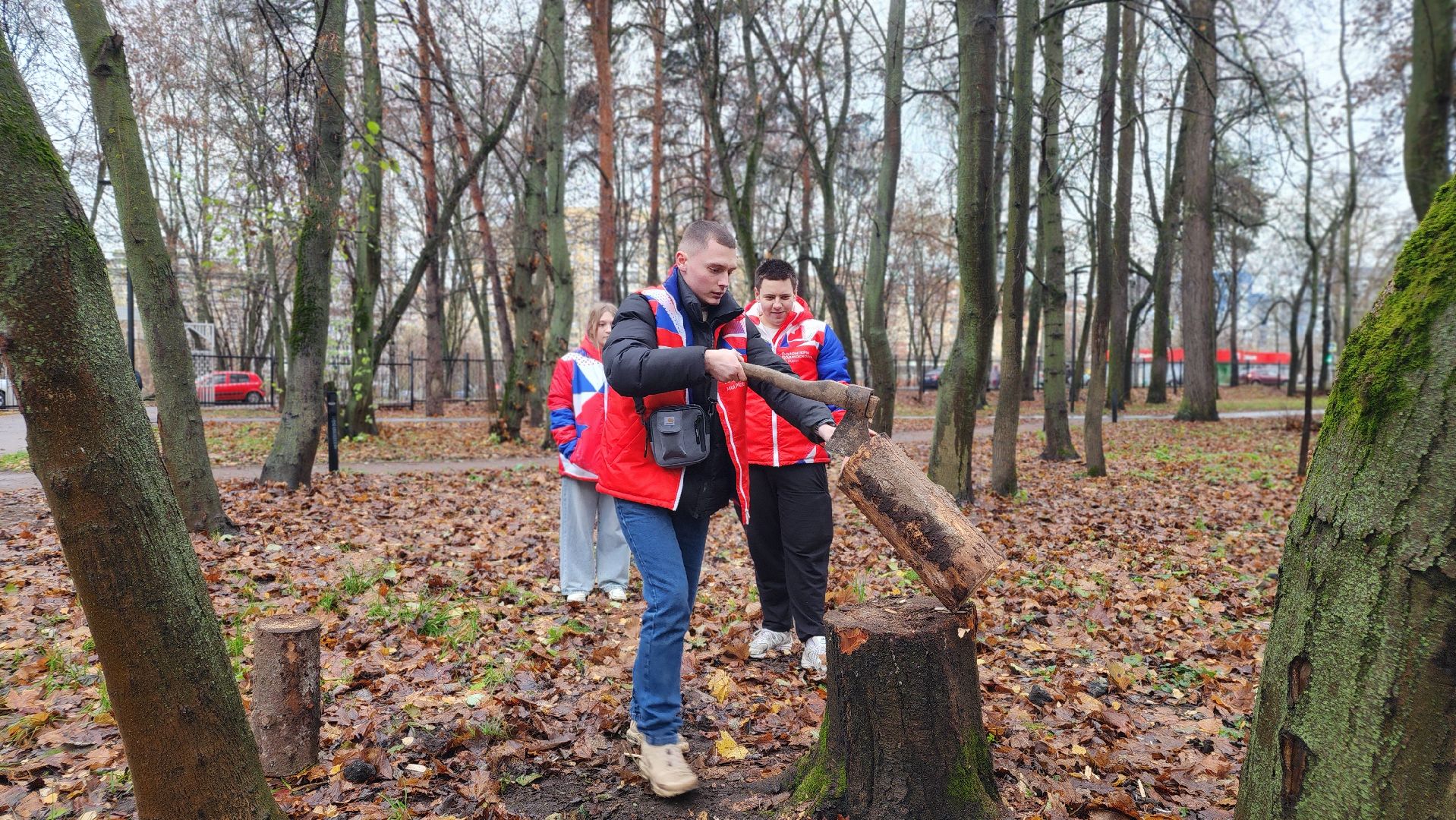 праздник,  день народного единства, парки подмосковья, лосино-петровский,