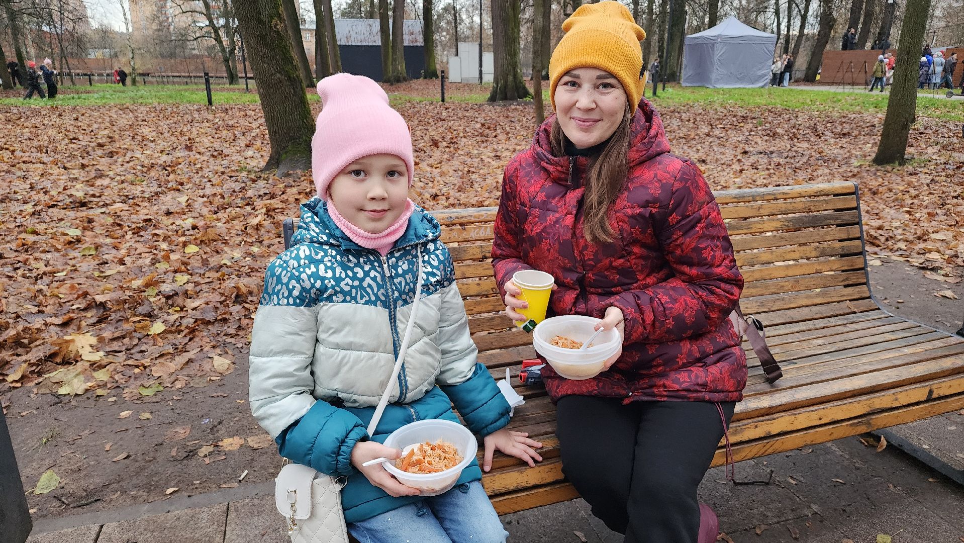 праздник,  день народного единства, парки подмосковья, лосино-петровский,
