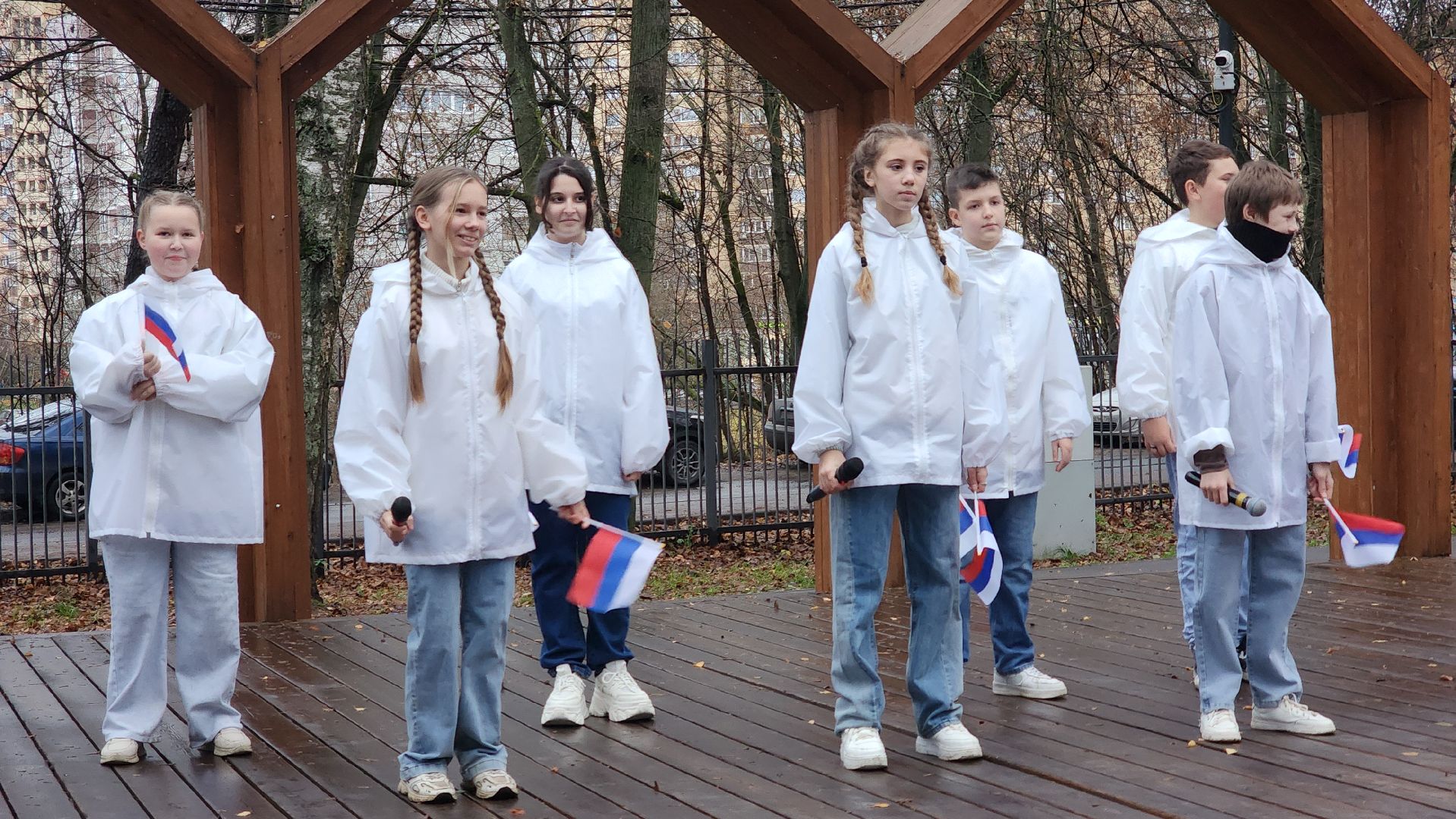 праздник, день народного  единства, лосино-петровский,